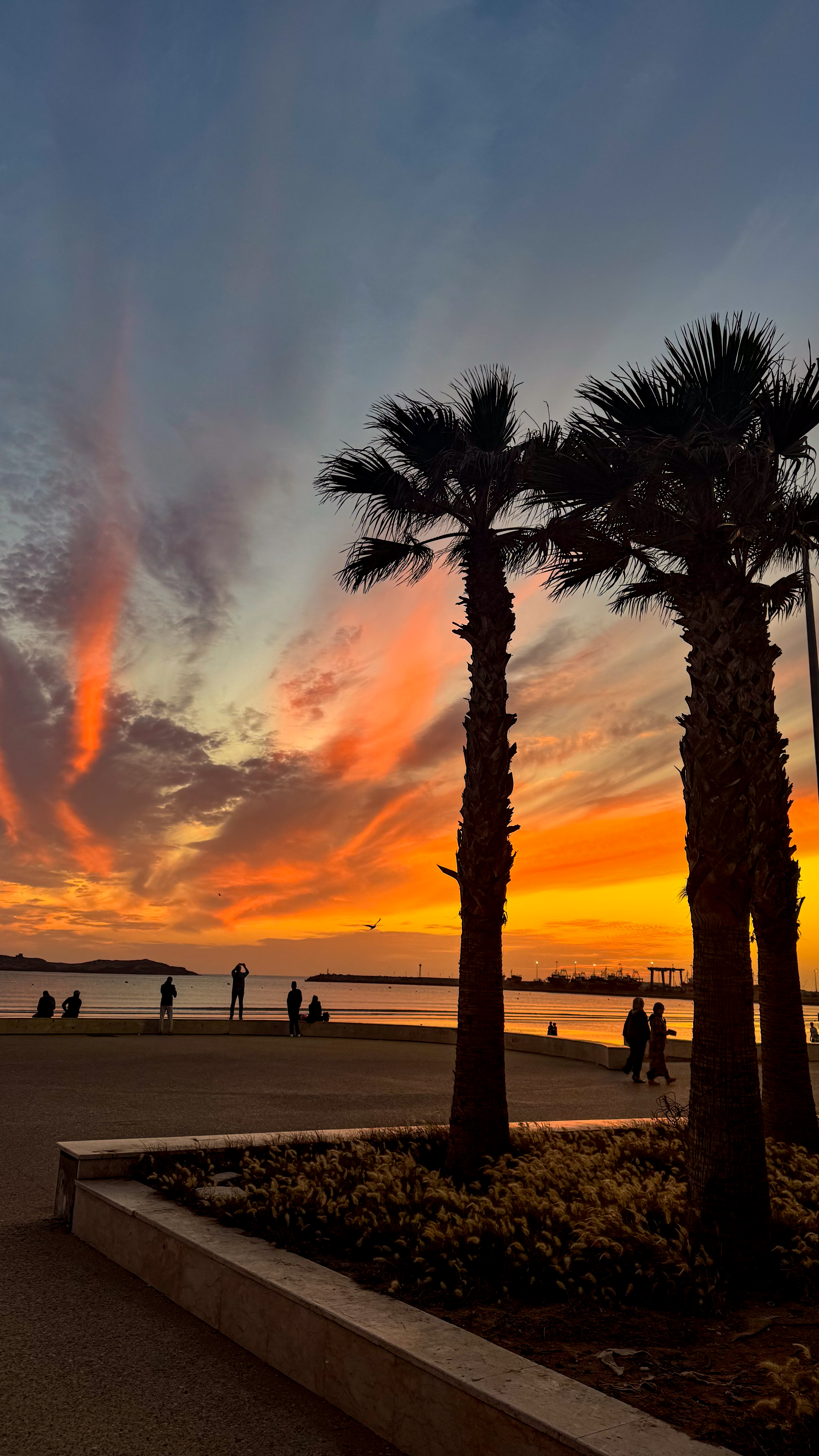 Марокко: от Атлантики до Сахары, экспедиция по всей стране (13/49)