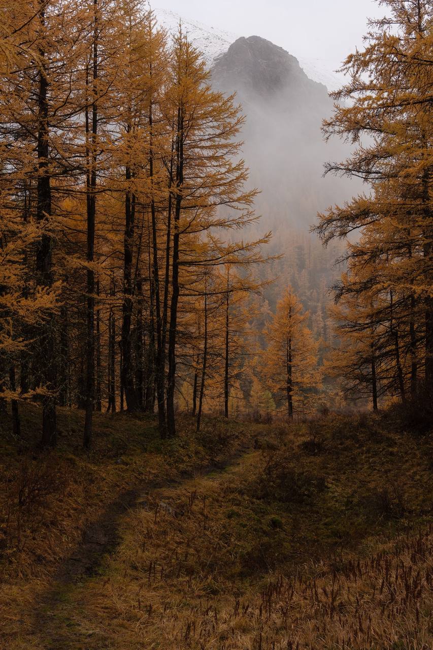 Треккинг Осенняя сказка на Алтае (5/20)