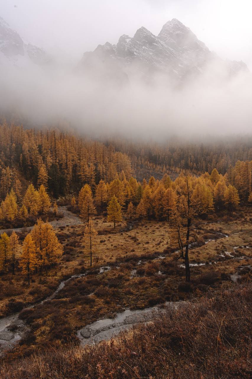 Треккинг Осенняя сказка на Алтае (4/20)