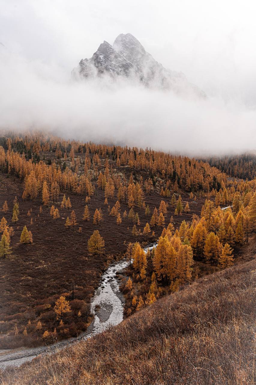 Треккинг Осенняя сказка на Алтае (6/20)