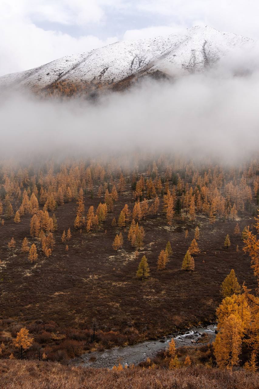 Треккинг Осенняя сказка на Алтае (3/20)