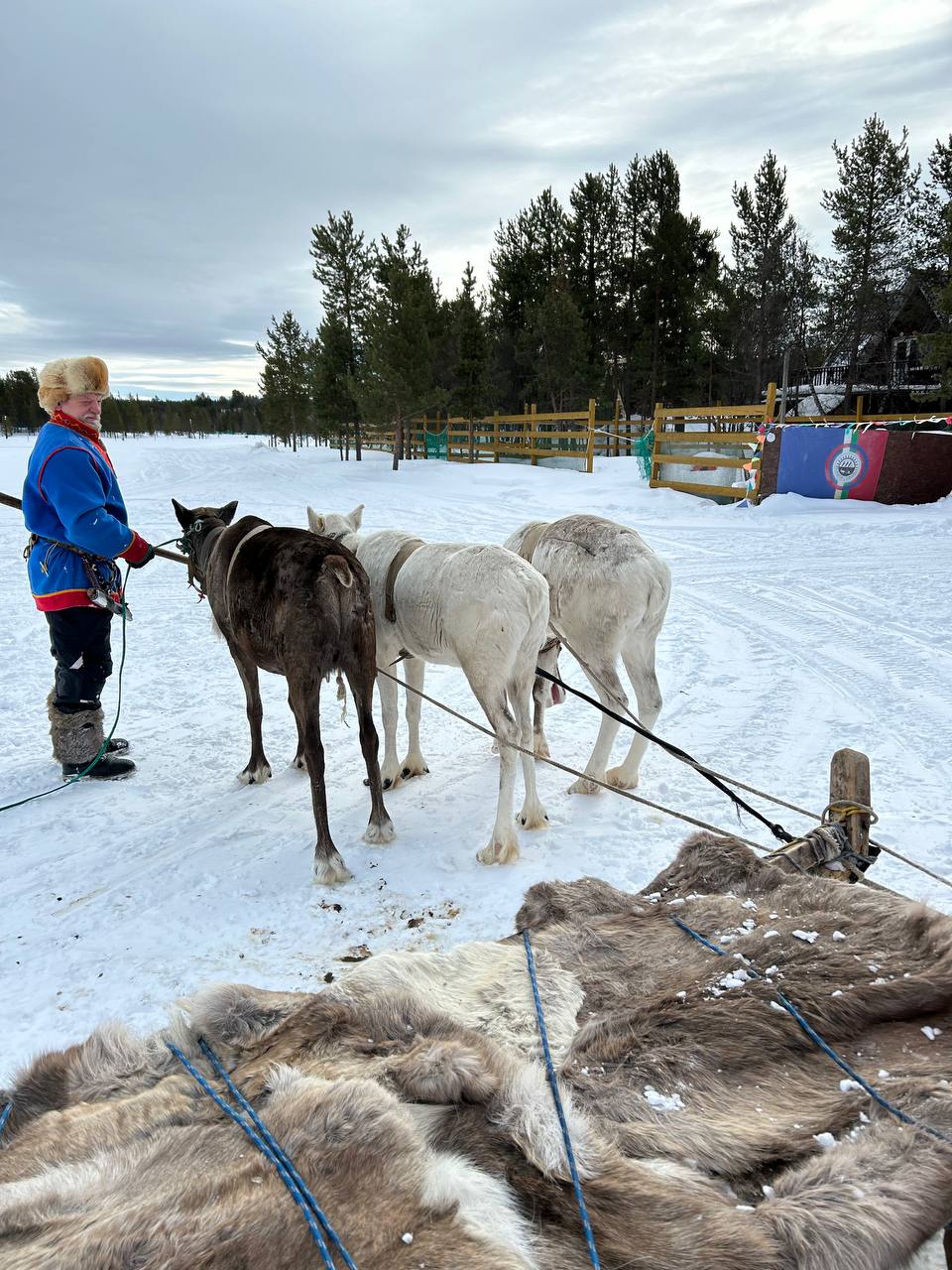На край земли! Мурманск + Териберка: охота за сиянием, айс-флоатинг (9/21)