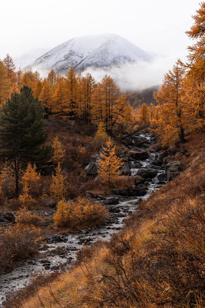 Треккинг Осенняя сказка на Алтае (2/20)