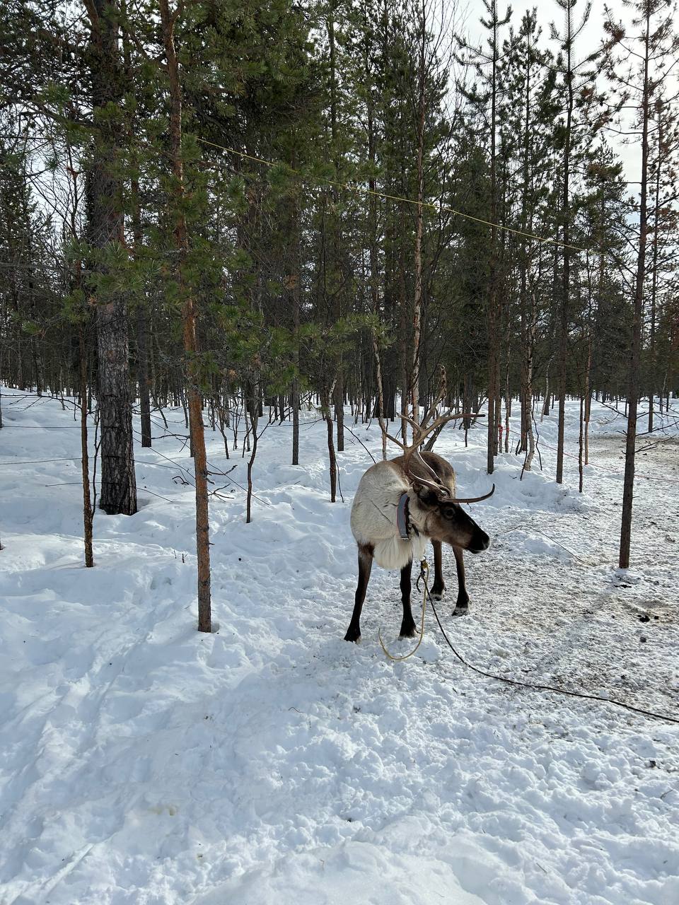 На край земли! Мурманск + Териберка: охота за сиянием, айс-флоатинг (3/21)