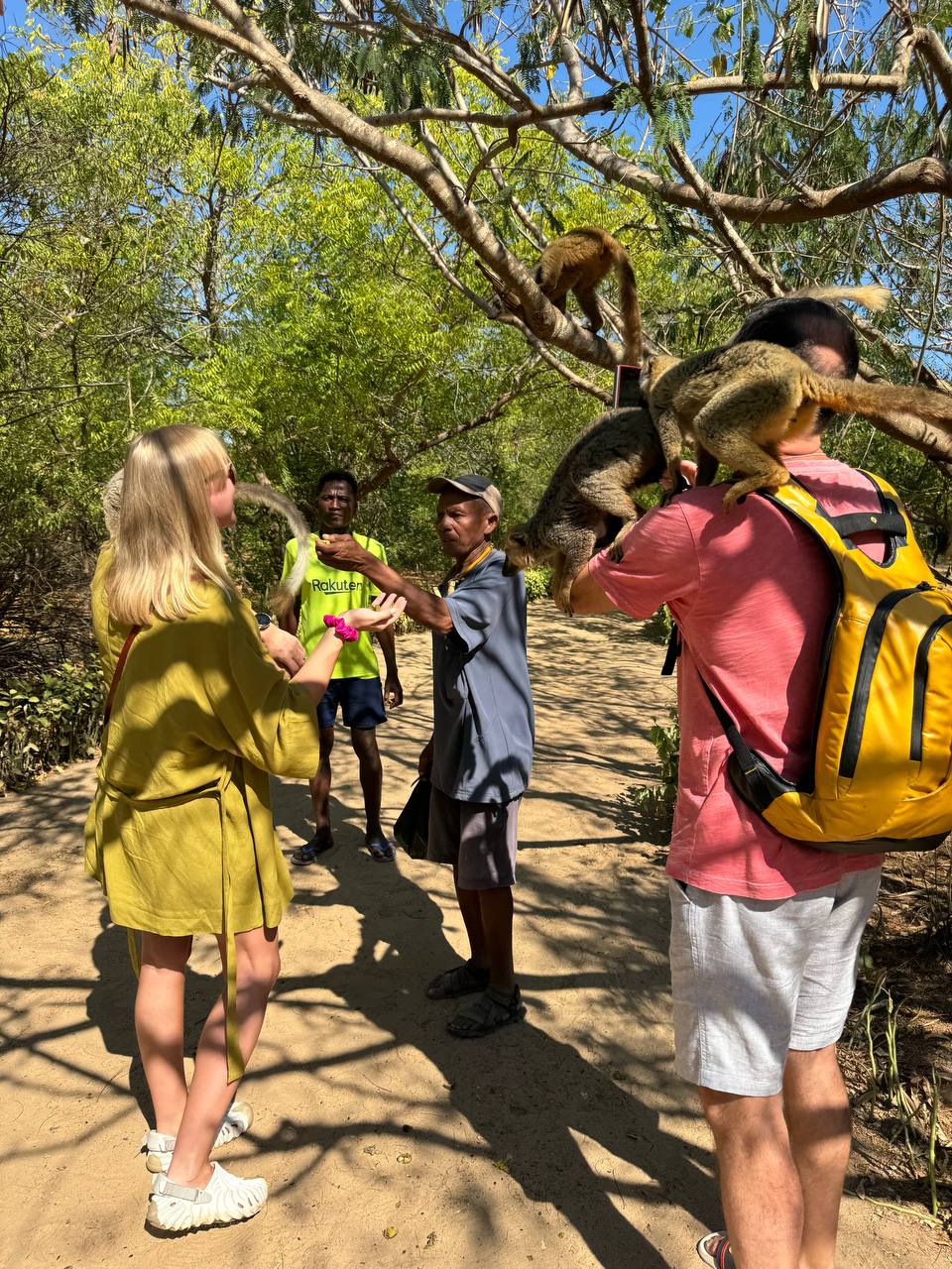 В Краю Баобабов (16/34)