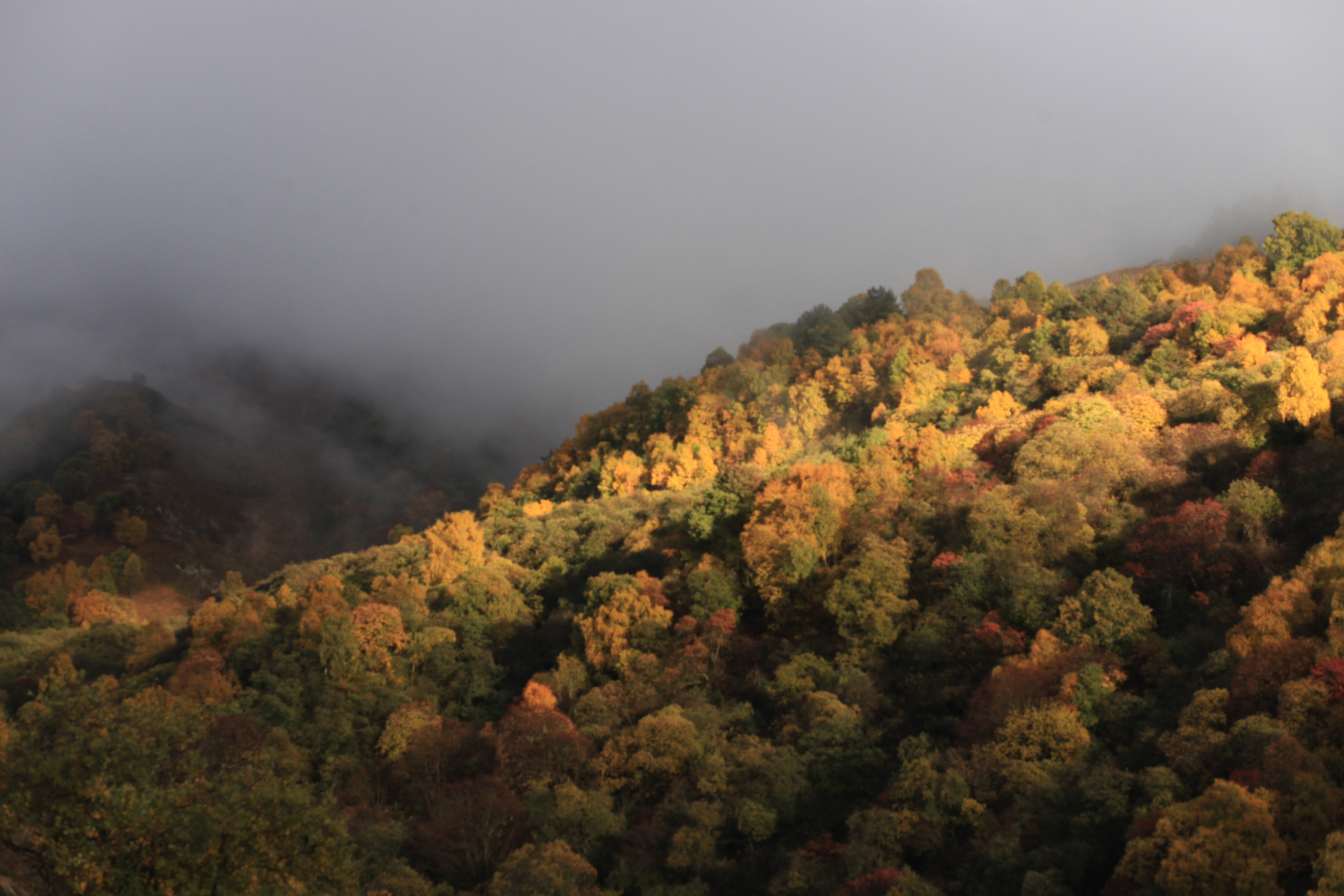 Настроение - горы! Активный тур по Карачаево-Черкесии