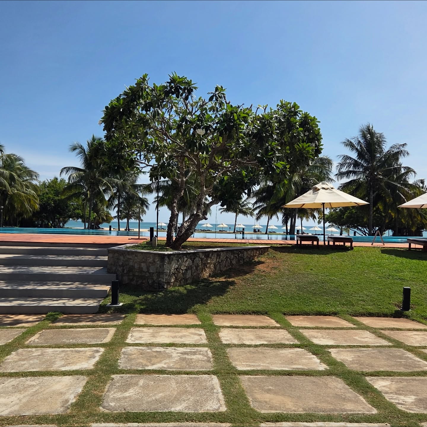 Север и восток Шри-Ланки: от нетронутых пляжей до богатого культурного наследия (15/126)