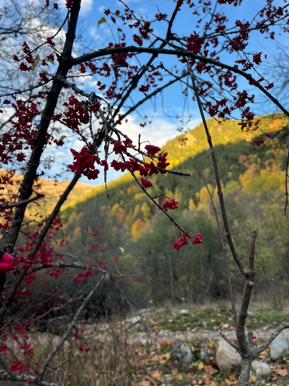 Трип по Карачаево-Черкесии! Домбай+Архыз с комфортом в мини-группе! (60/74)