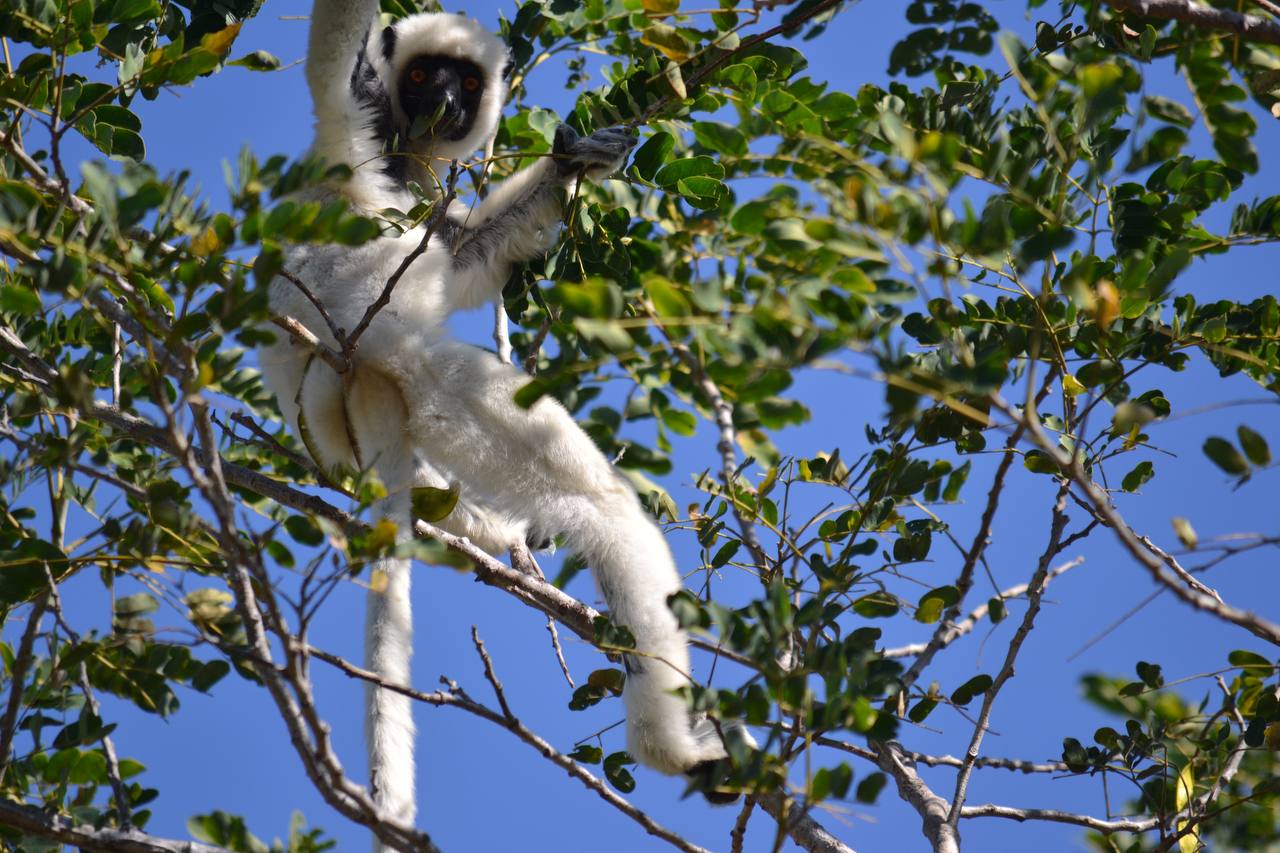 В Краю Баобабов (19/34)