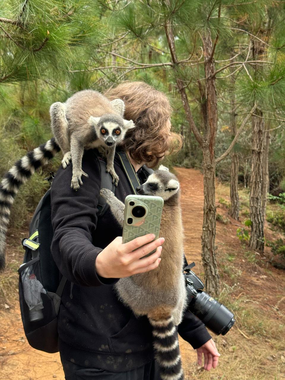 В Краю Баобабов (27/34)