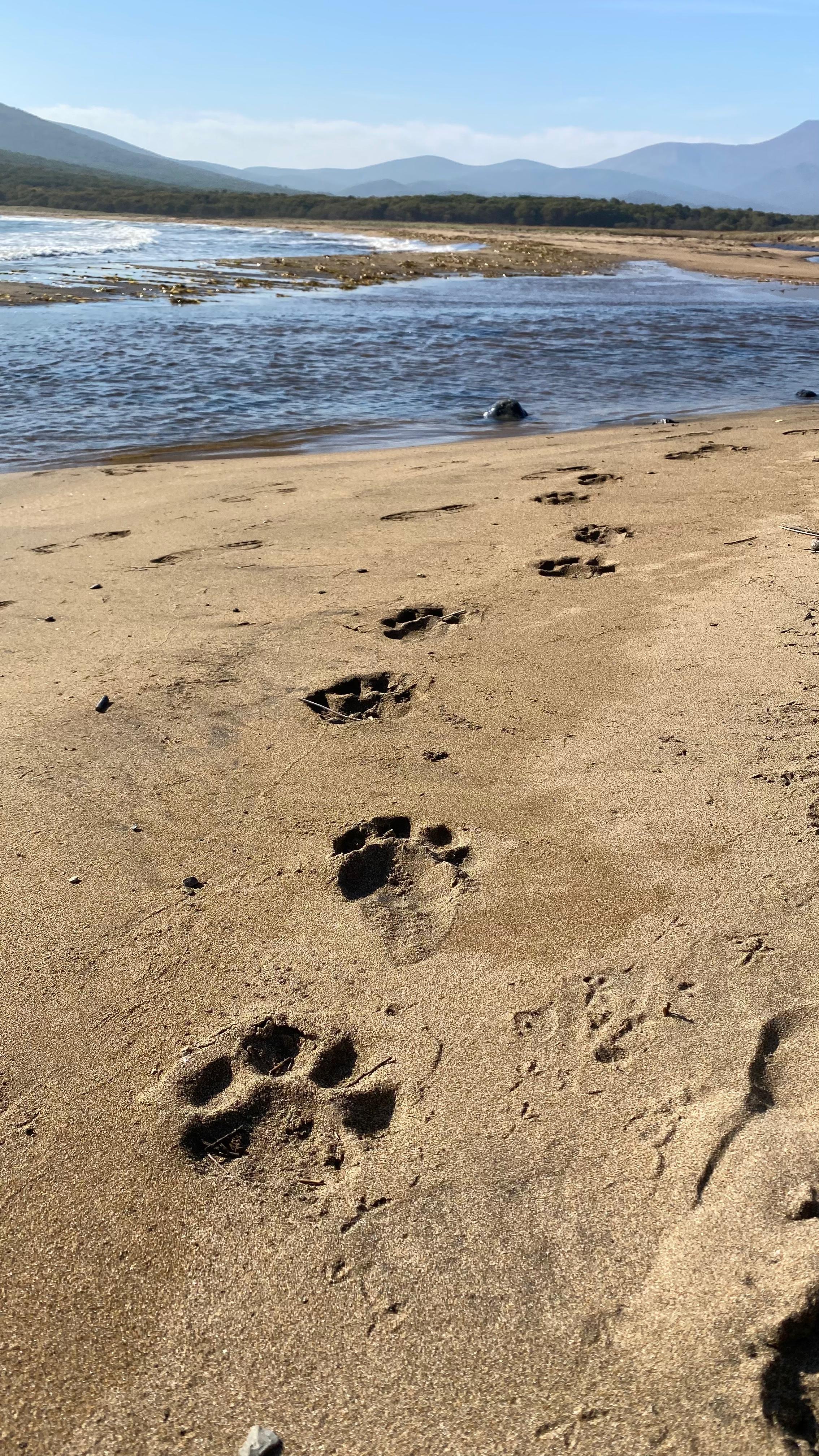 Бархатное Приморье. Полкрая за 10 дней с комфортом. (19/57)