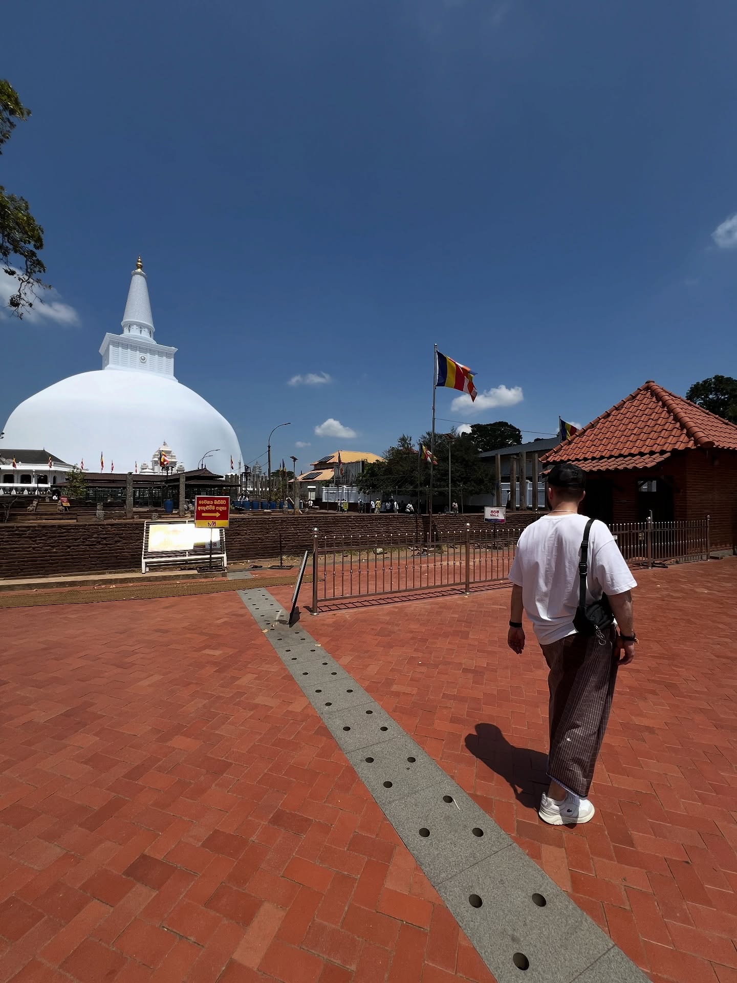 Север и восток Шри-Ланки: от нетронутых пляжей до богатого культурного наследия (81/126)