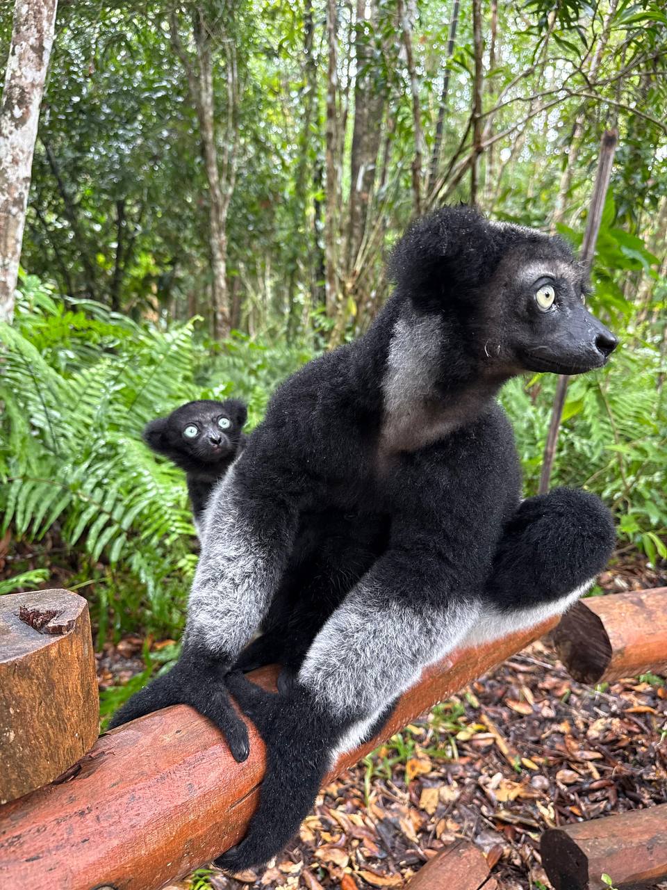 Райский Остров Нуси-Бе Мадагаскара (27/57)