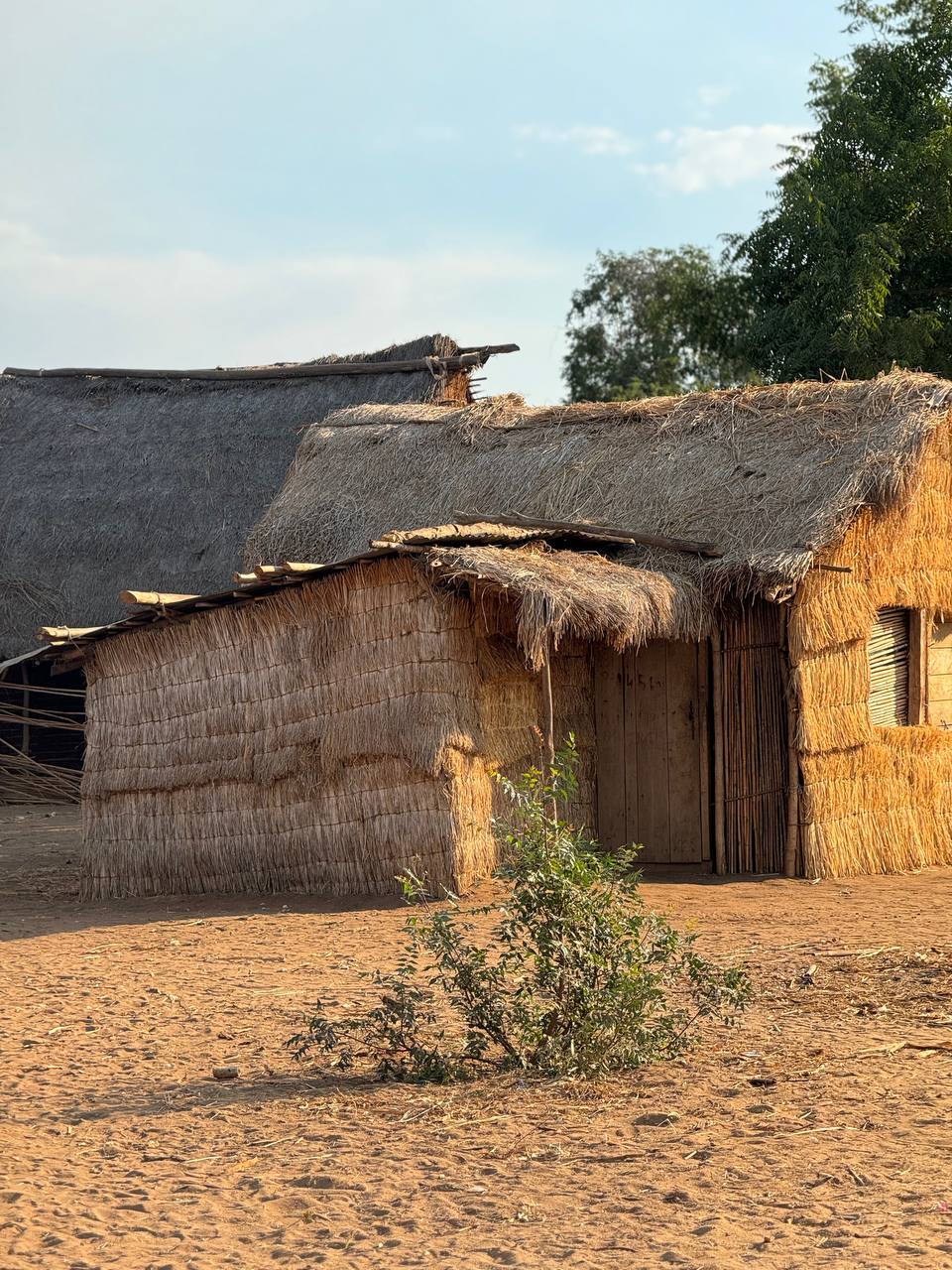 Дикий трип - Сплав По Реке & Цинги & Баобабы Мадагаскара (22/62)