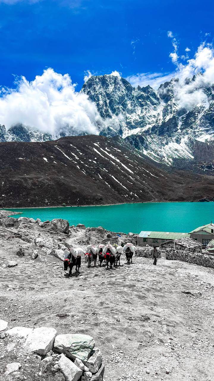 Трек Гокио Ри. Путь к Эвересту + вертолет. Проживание на маршруте в Шале 5 (2/107)