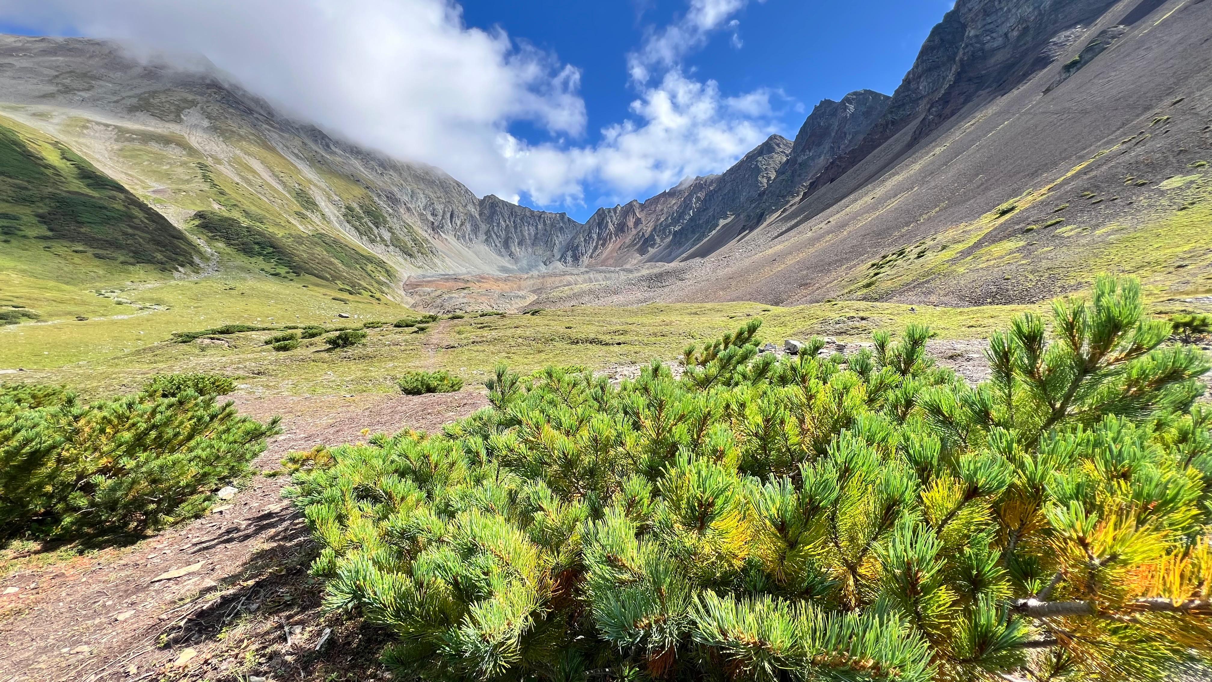 Открытие Камчатки за 10 дней (11/39)