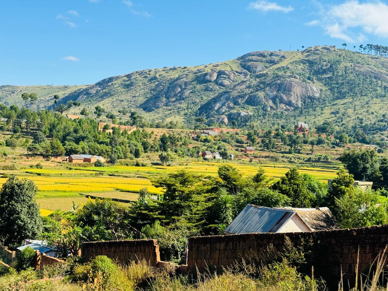 В Краю Баобабов (30/34)