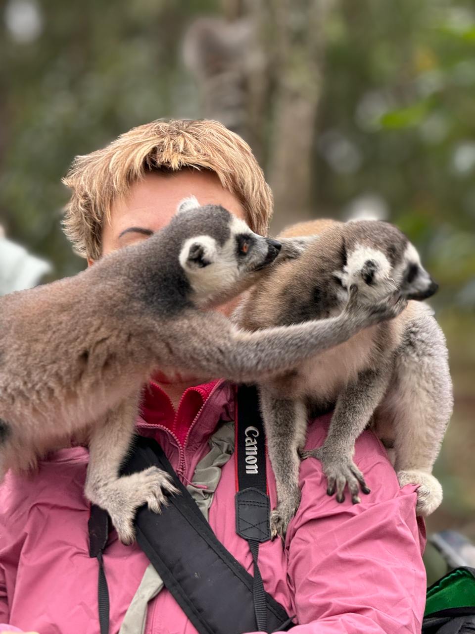 В Краю Баобабов (28/34)