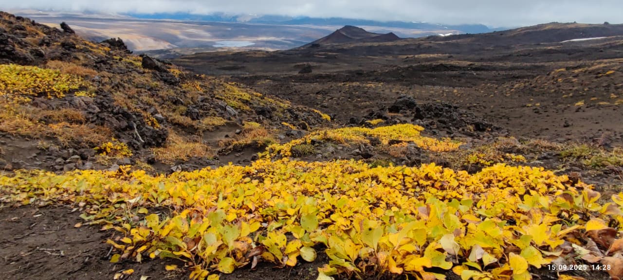 Открытие Камчатки за 10 дней (12/39)