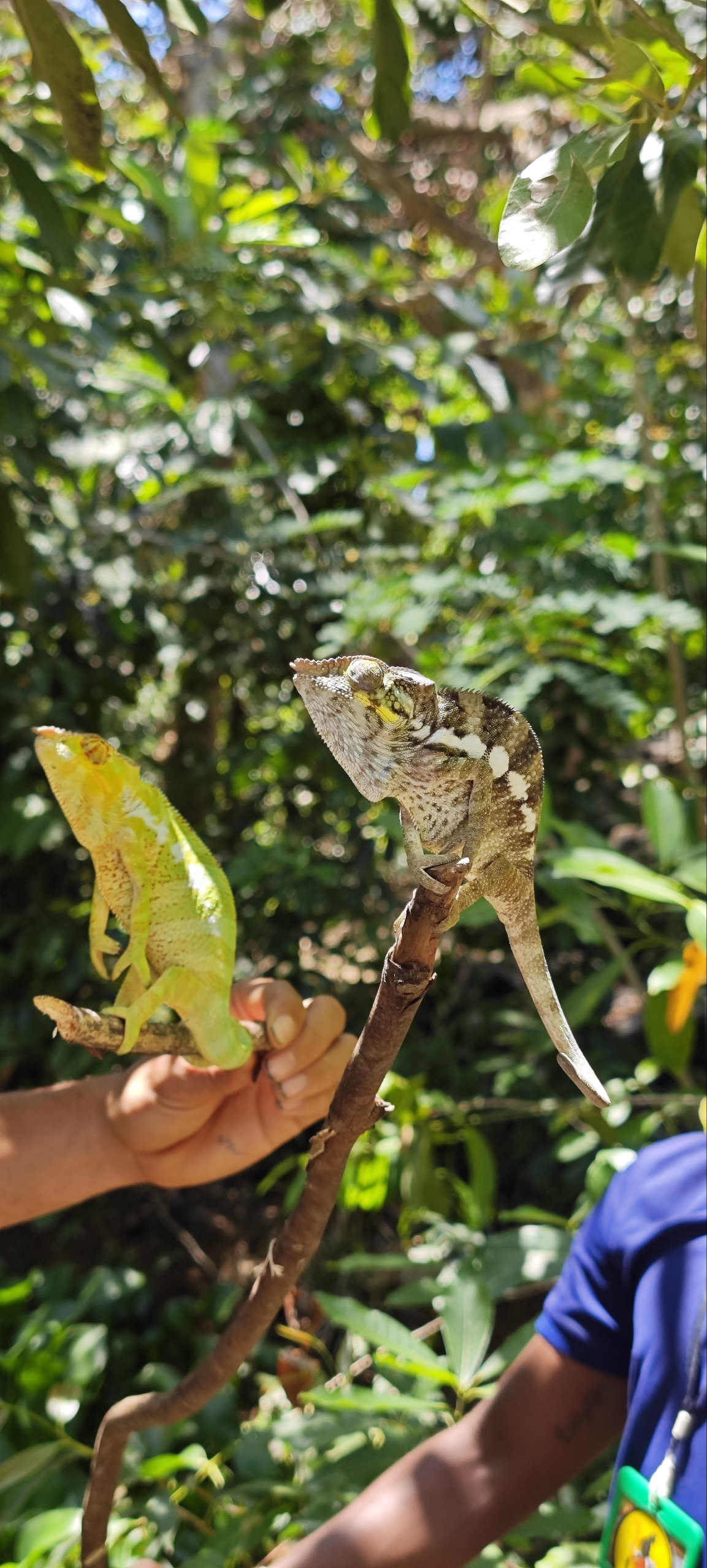 Райский Остров Нуси-Бе Мадагаскара (11/57)