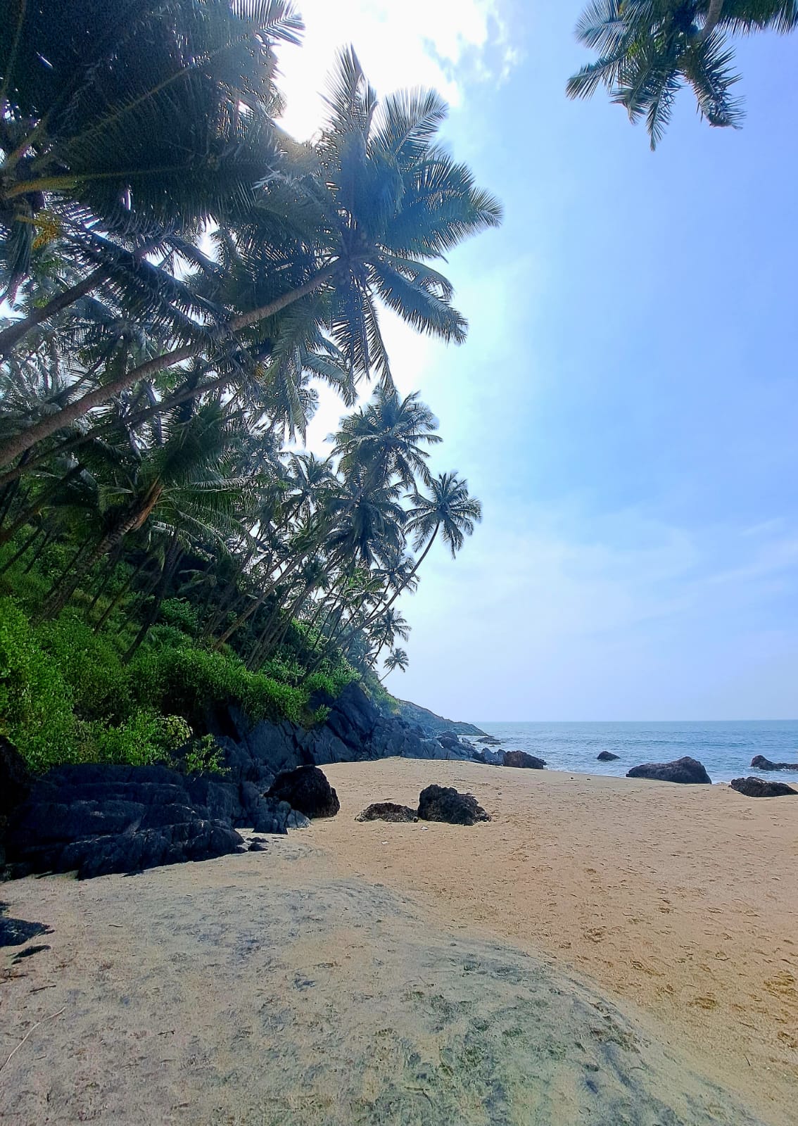 Империи, храмы и тигры Южной Индии + отдых на Гоа