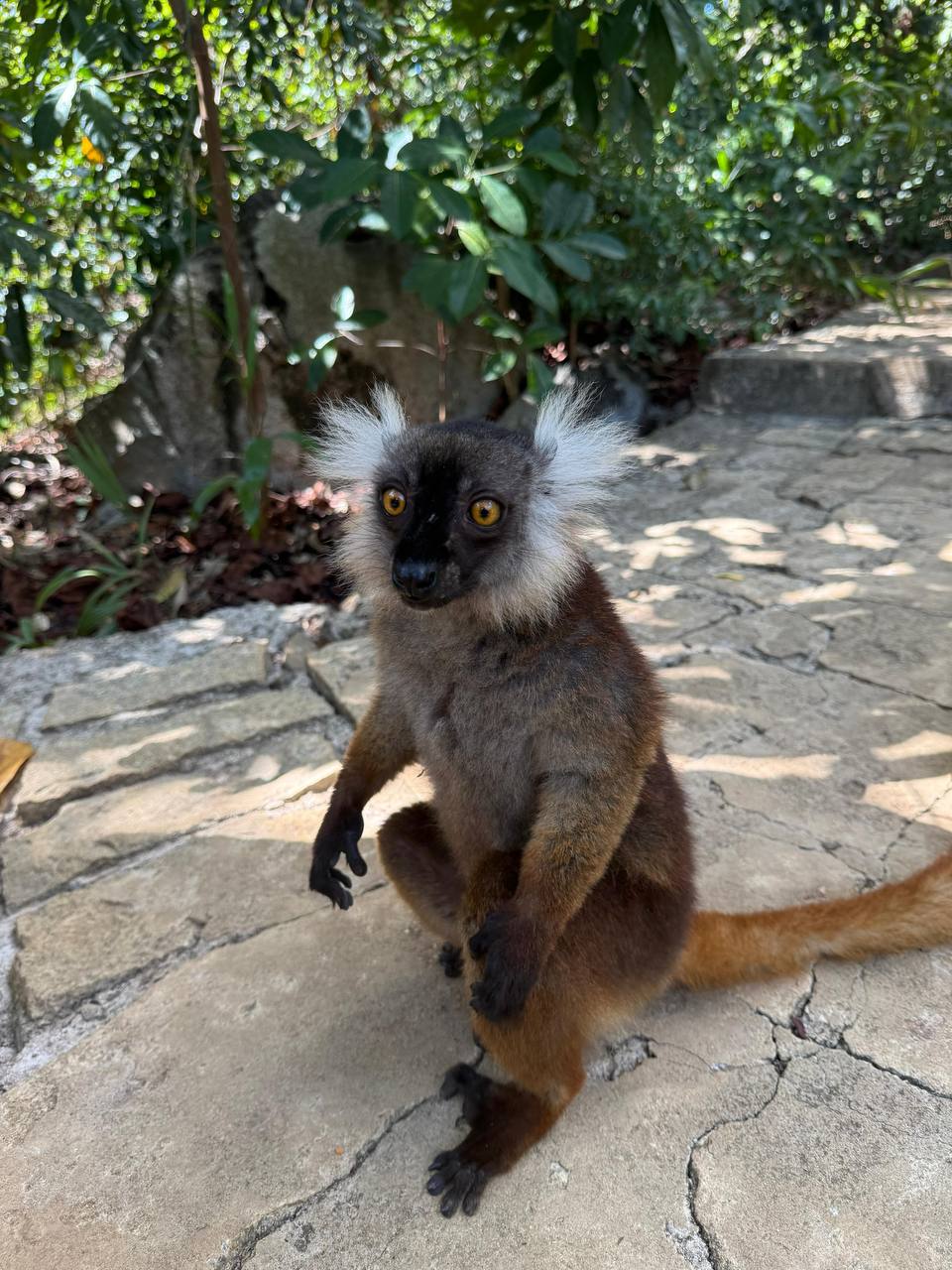 Райский Остров Нуси-Бе Мадагаскара (20/57)