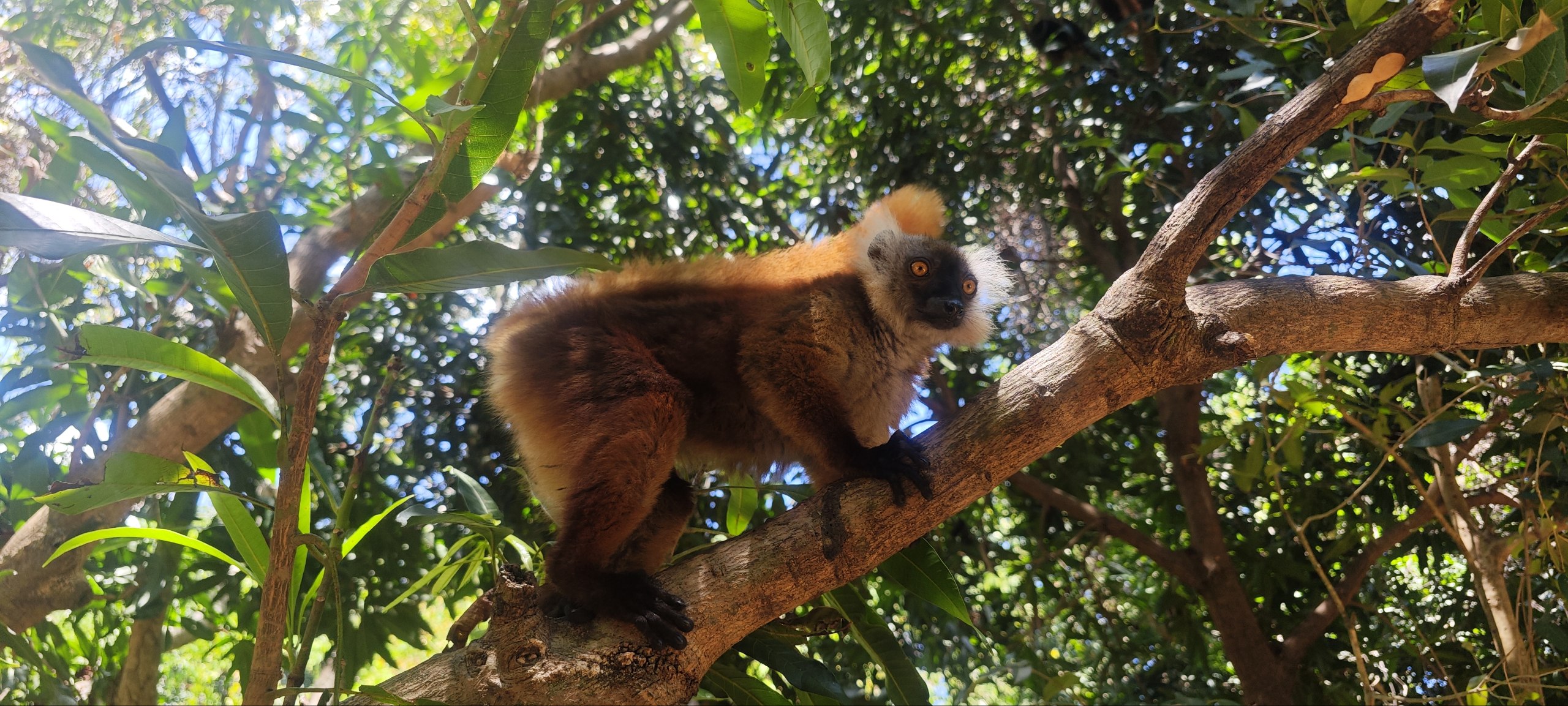 Райский Остров Нуси-Бе Мадагаскара (9/57)