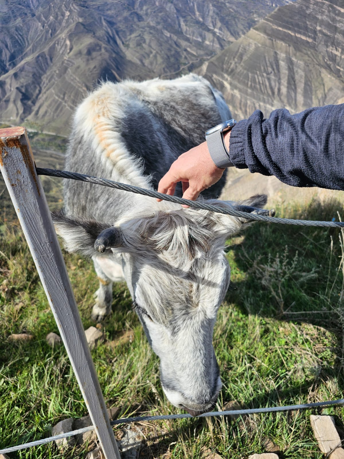 Перезагрузка в горах Дагестана на 100% за 3 дня. С комфортом. (43/55)
