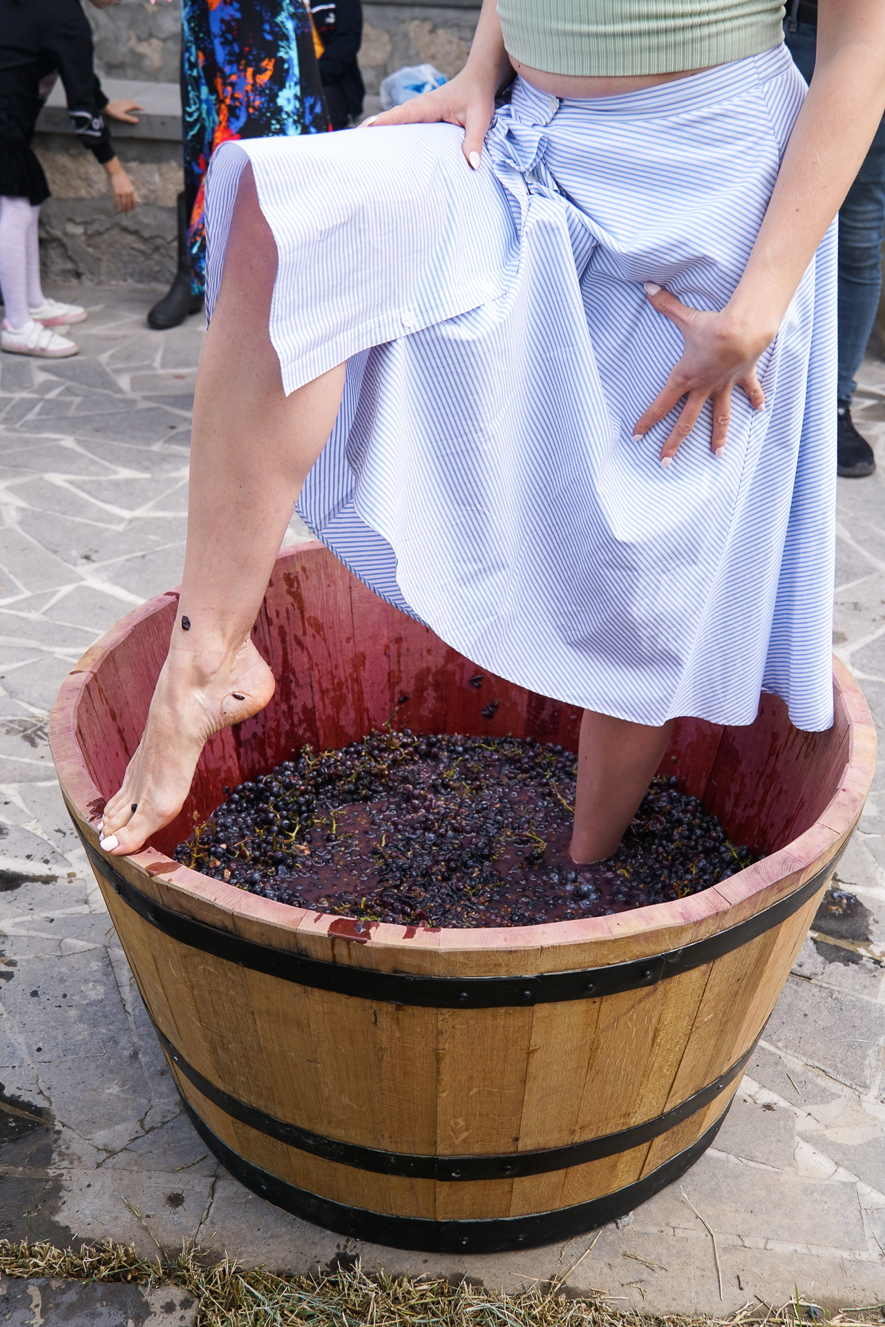 Винный тур в Хор Вирап (7/8)