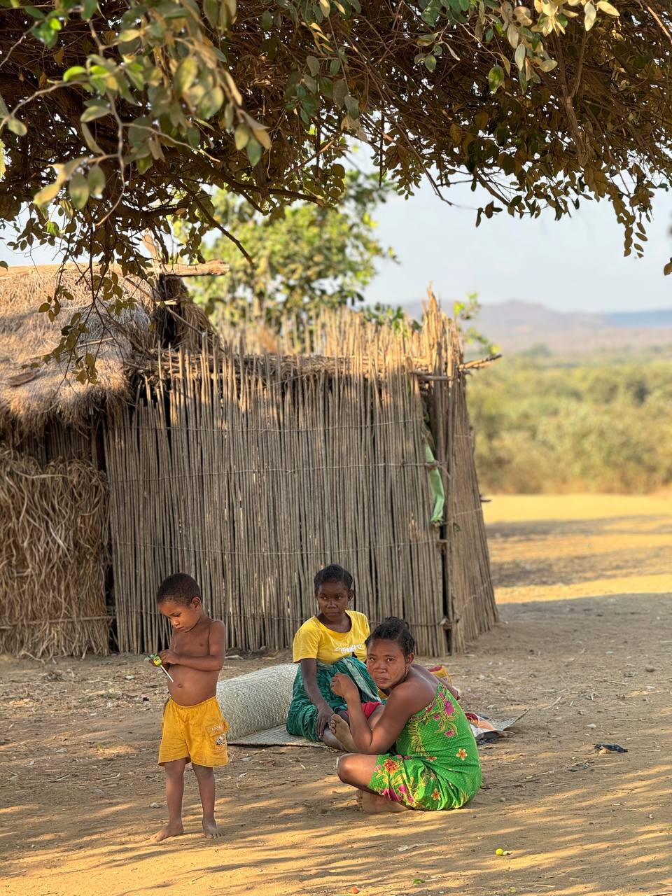 Дикий трип - Сплав По Реке & Цинги & Баобабы Мадагаскара (21/62)