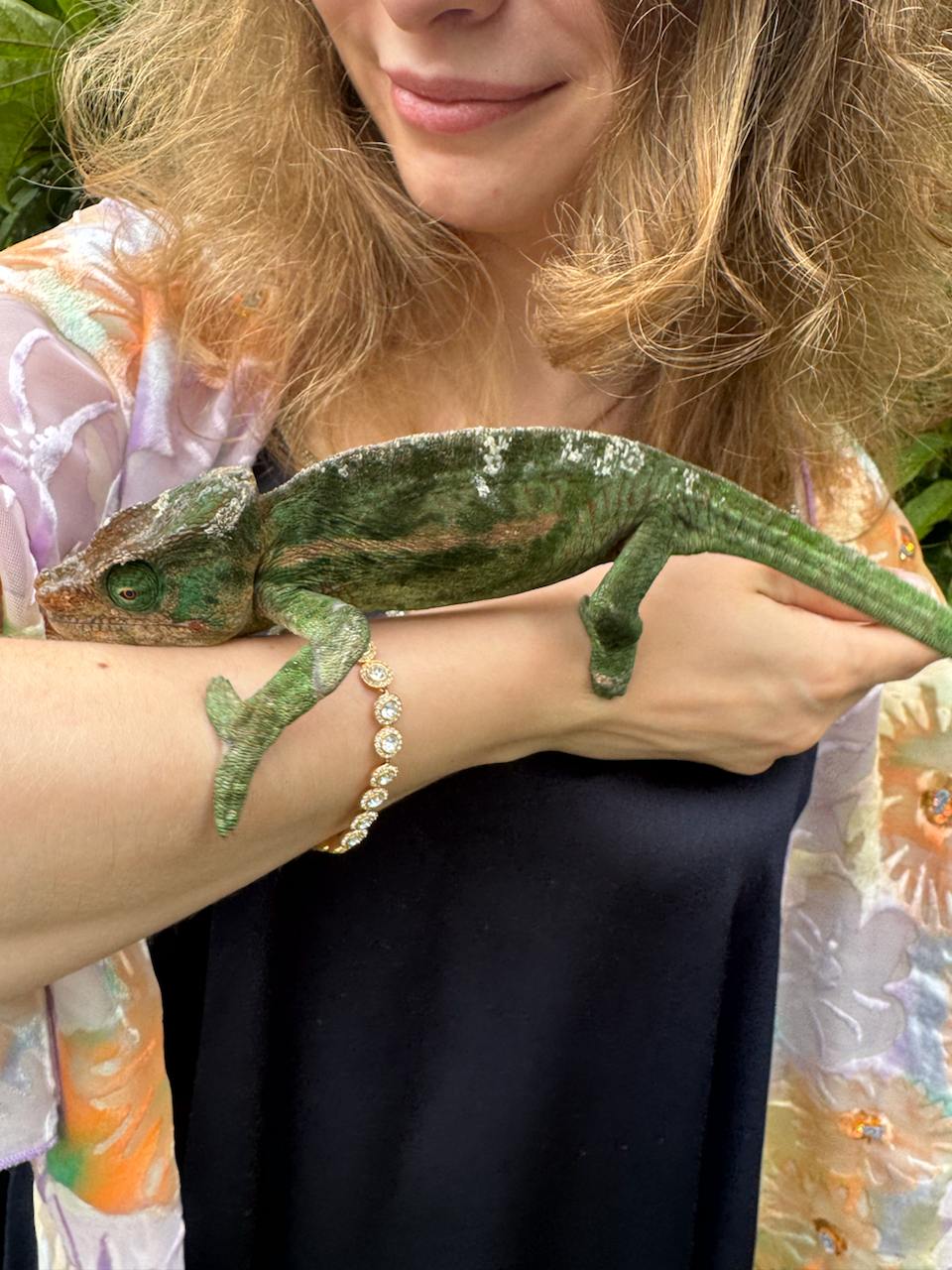 В Краю Баобабов (29/34)