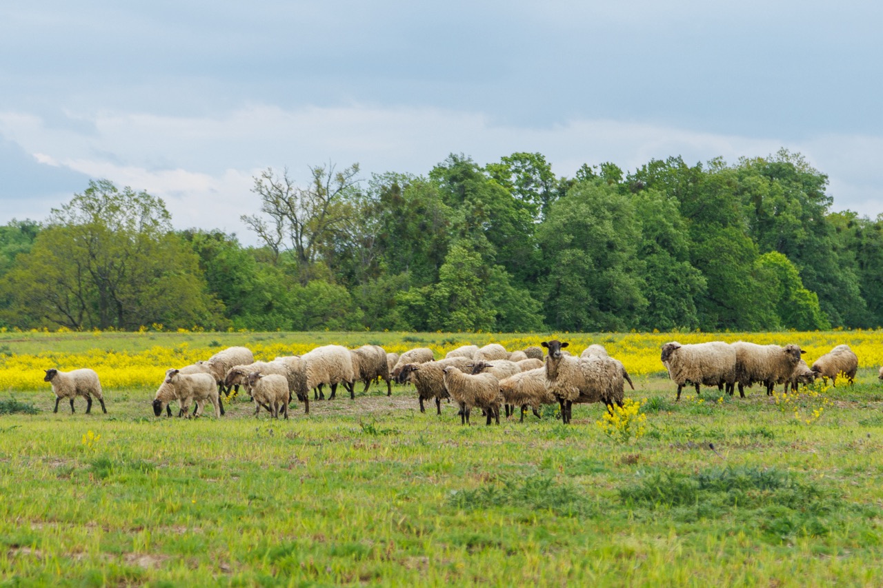 Я Еду! на 5 дней - цикличный велотур с заездом в любой день (27/59)