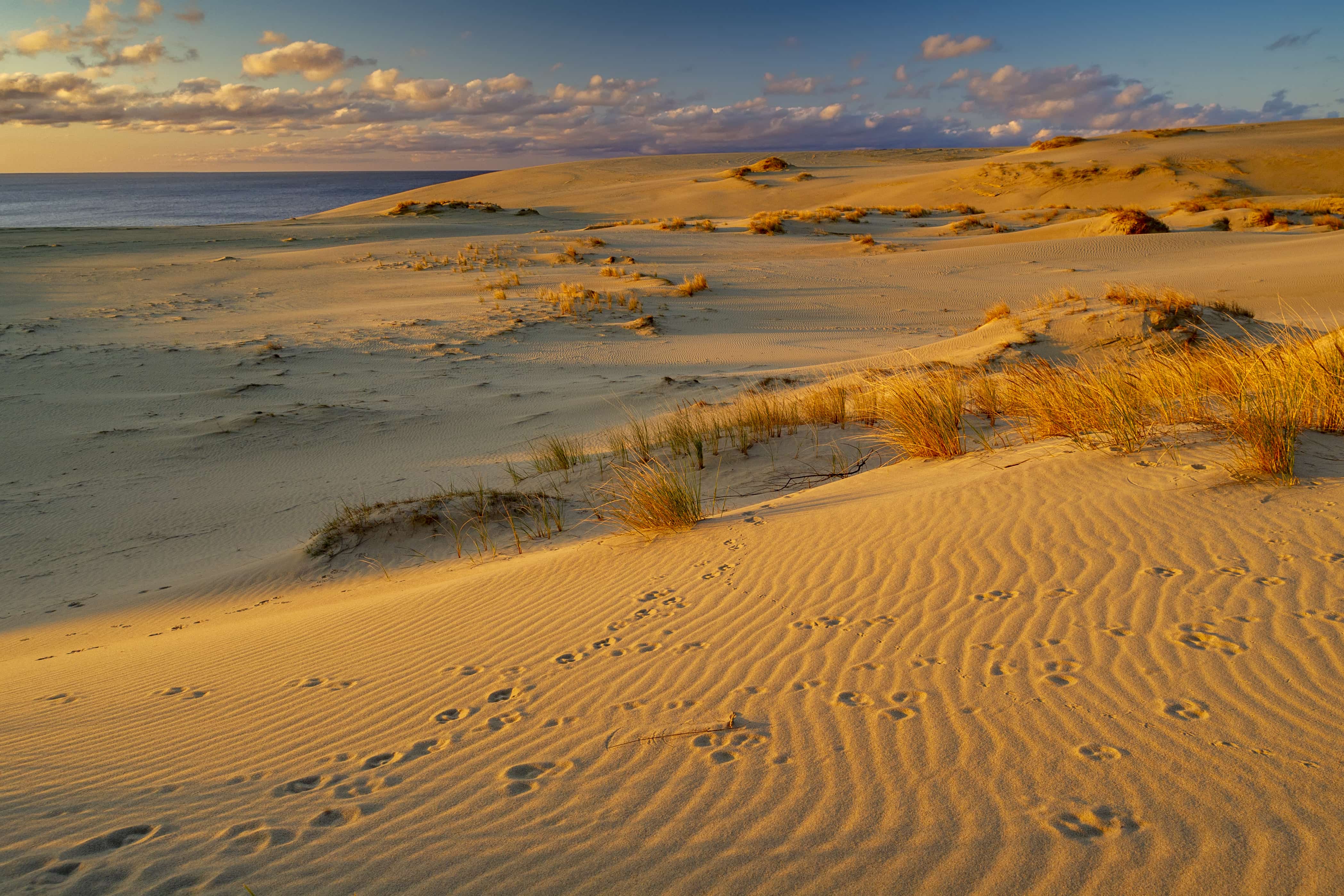 Я Еду! на 5 дней - цикличный велотур с заездом в любой день (5/59)