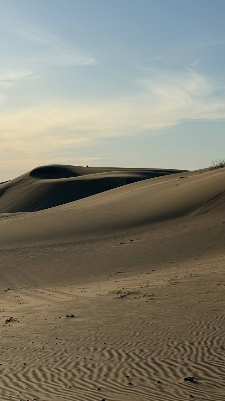 Экспедиция в Монголию (17/49)