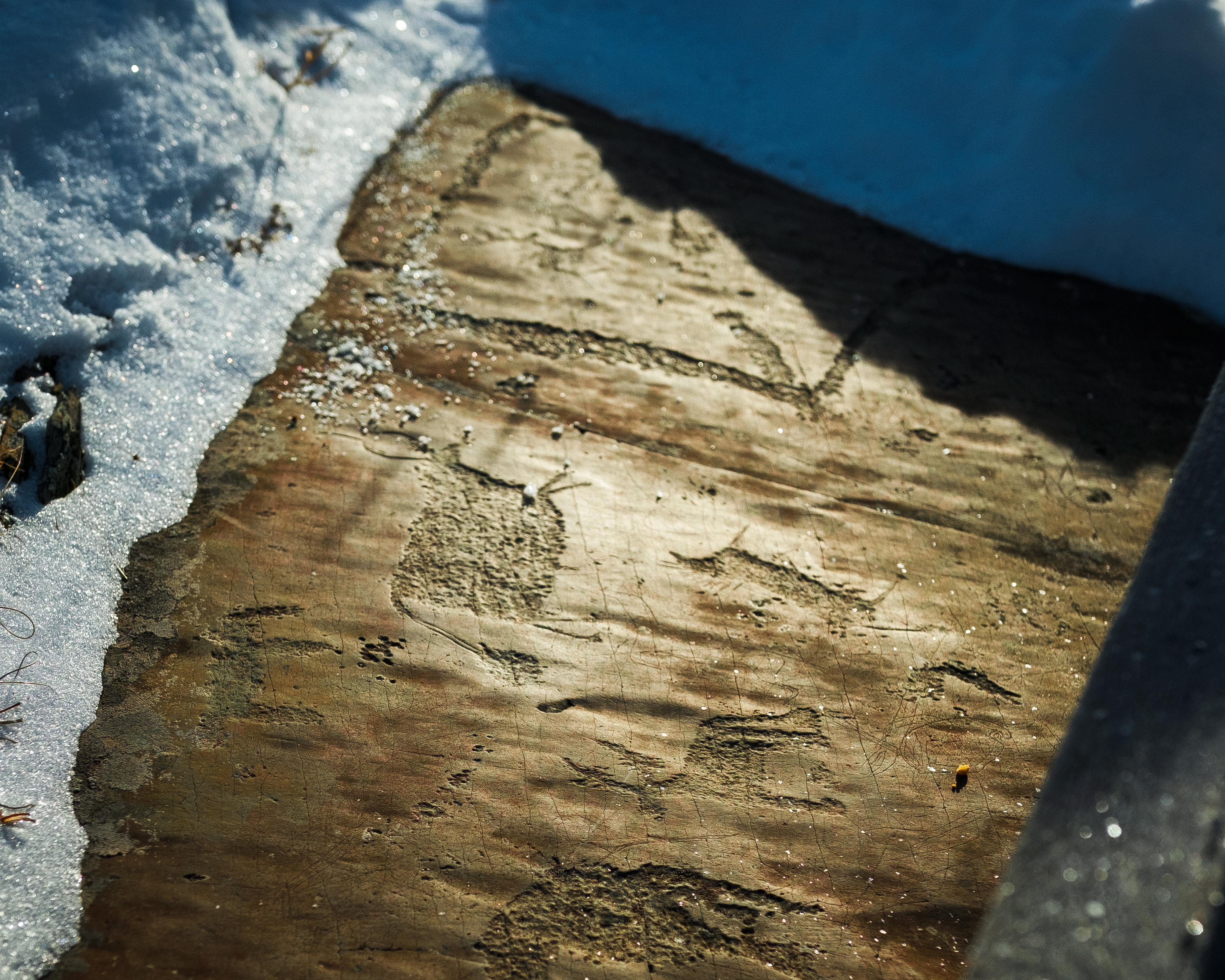 Зима На Алтае (27/58)