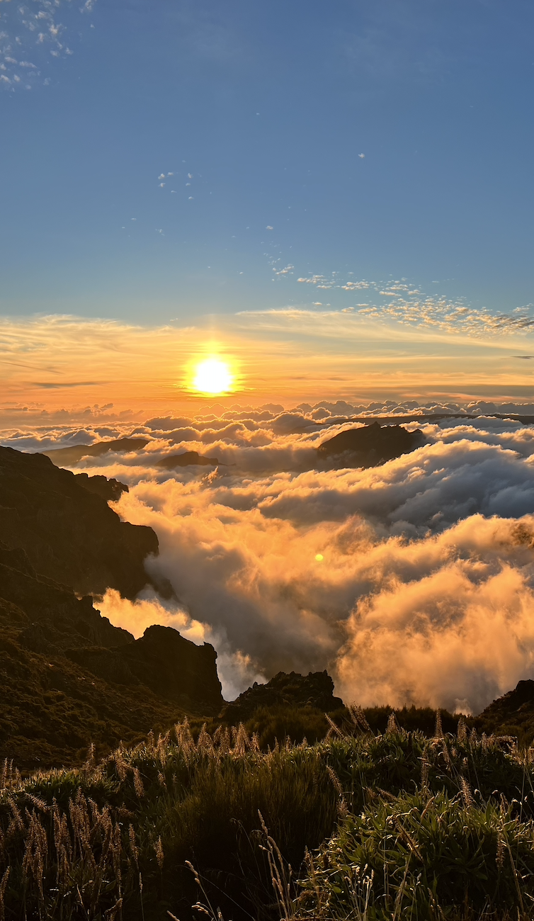 Мадейра: girls only путешествие вокруг острова (22/42)