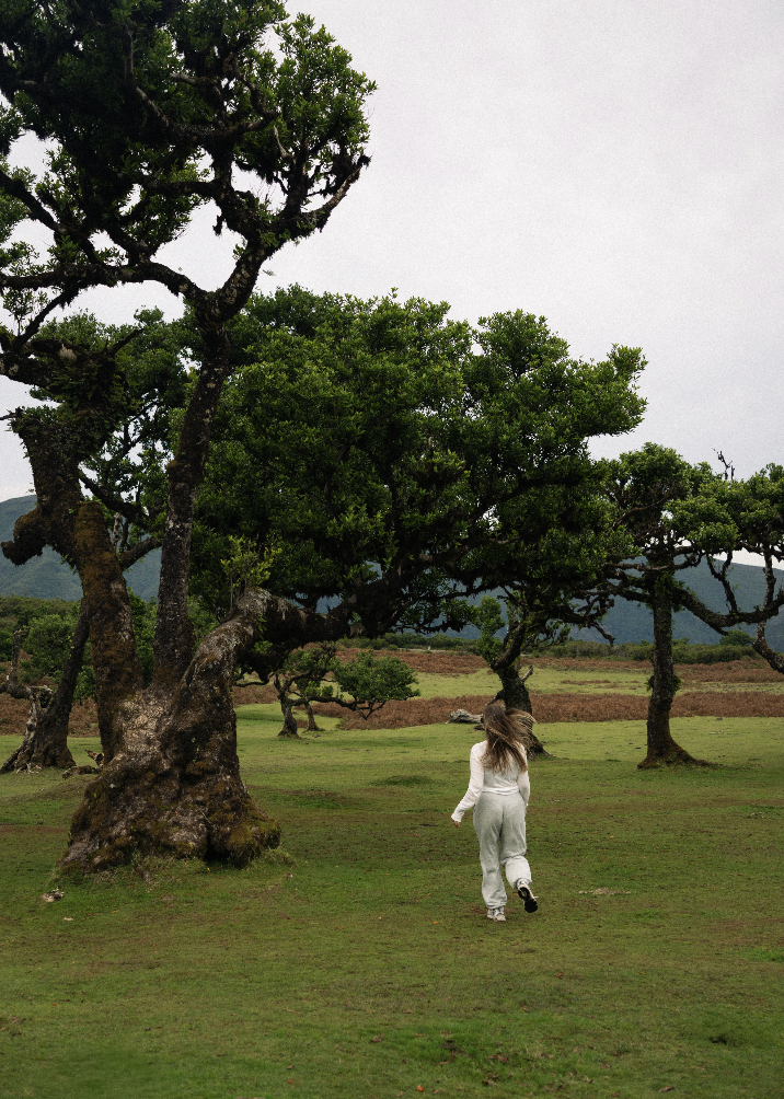 Мадейра: girls only путешествие вокруг острова (17/42)