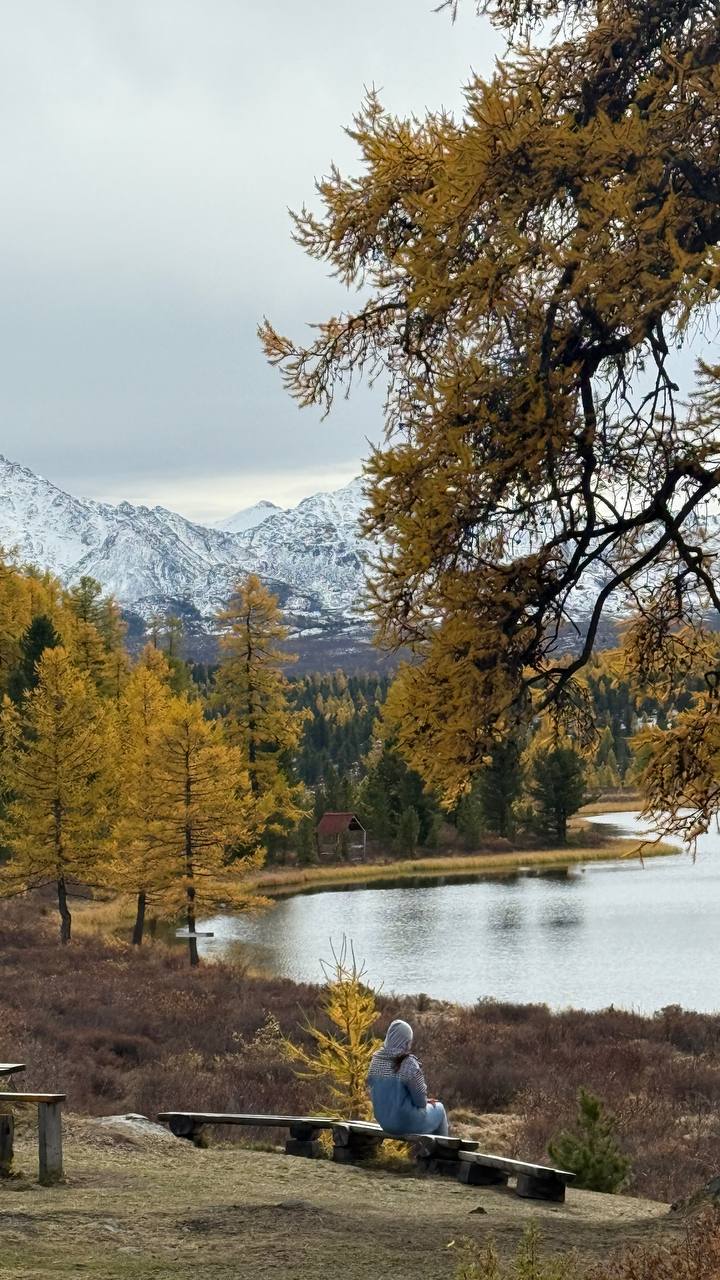 Алтай. Экспедиция по Чуйскому тракту (18/41)