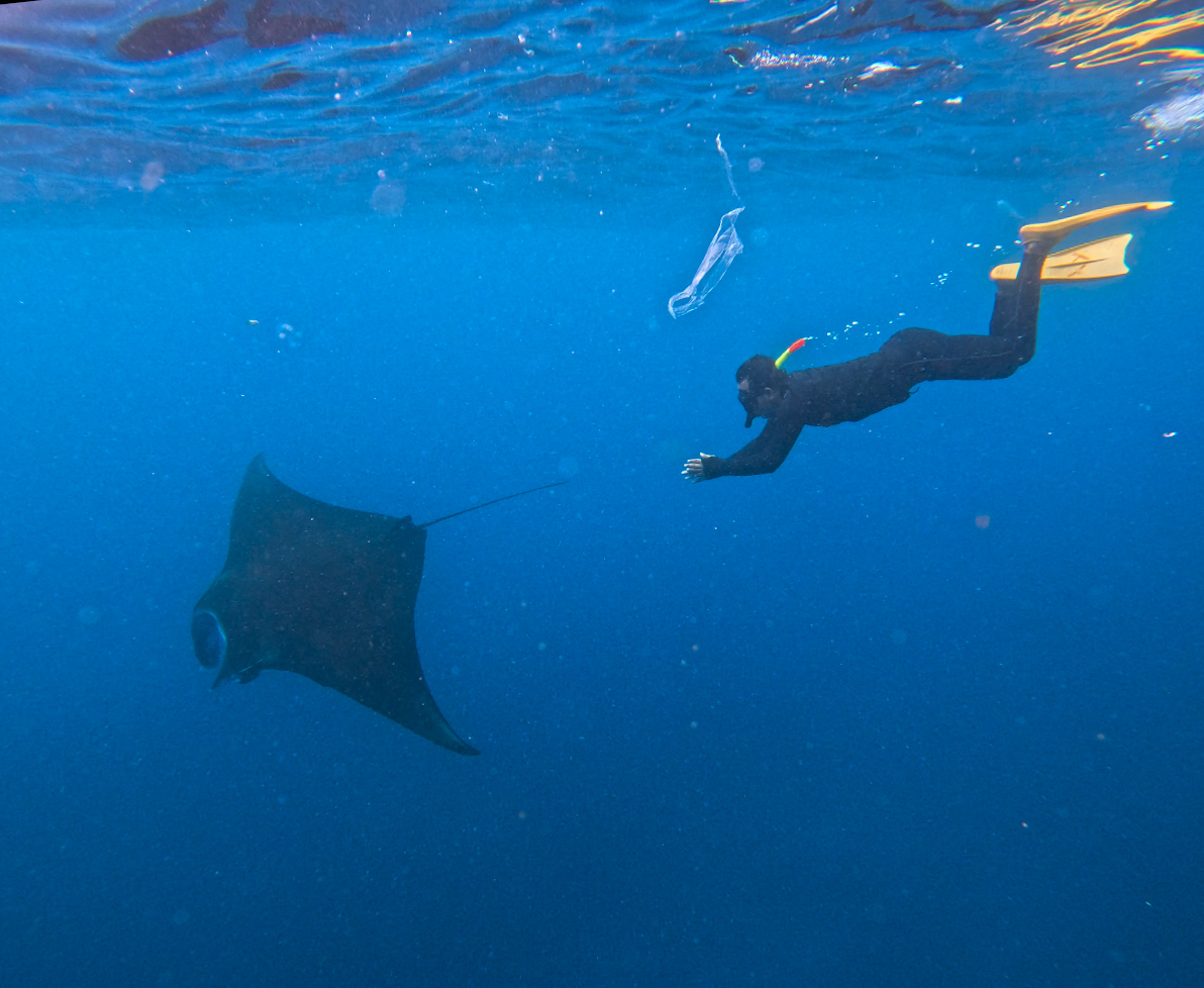 Перезагрузка на острове Нуса Пенида