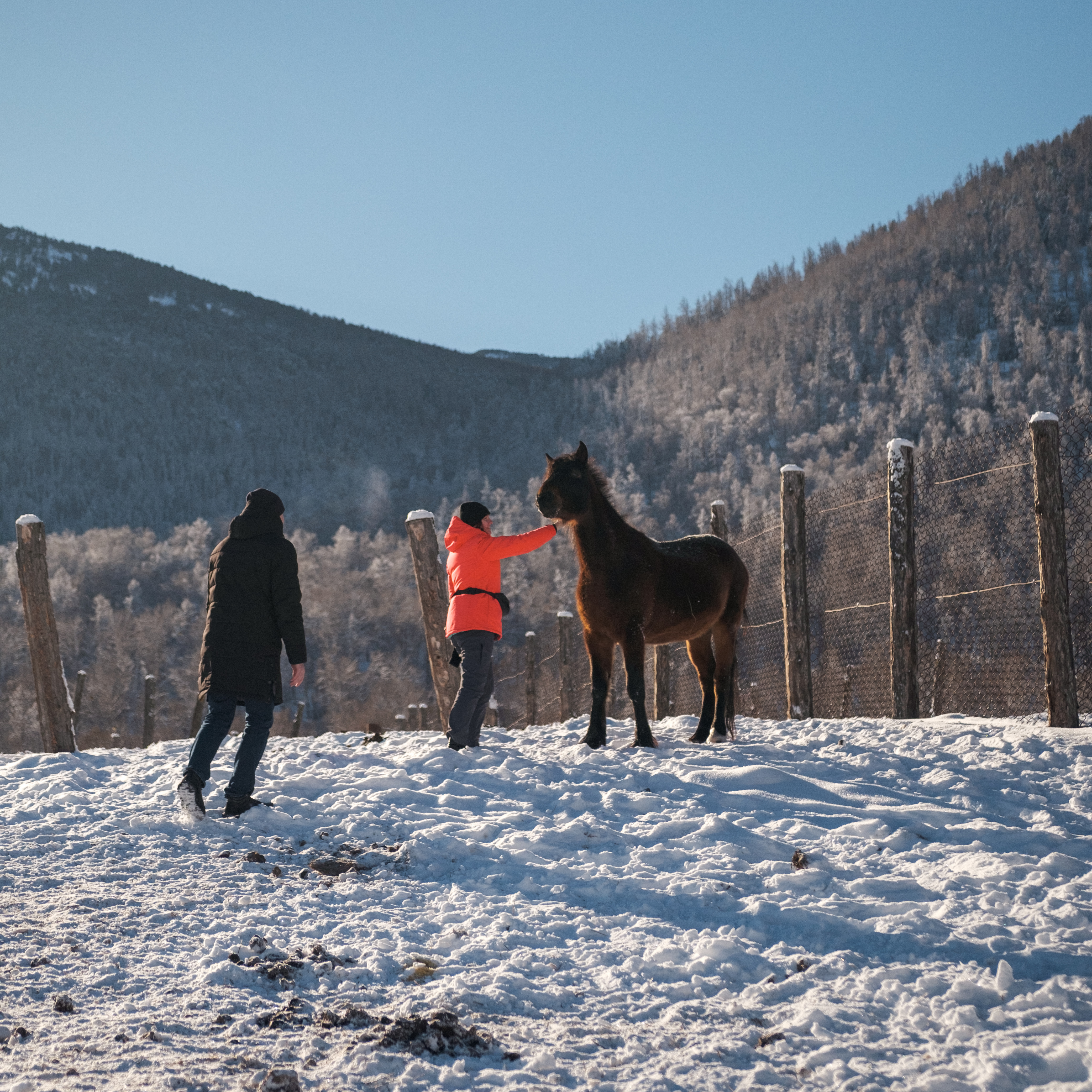 Зима На Алтае (14/58)