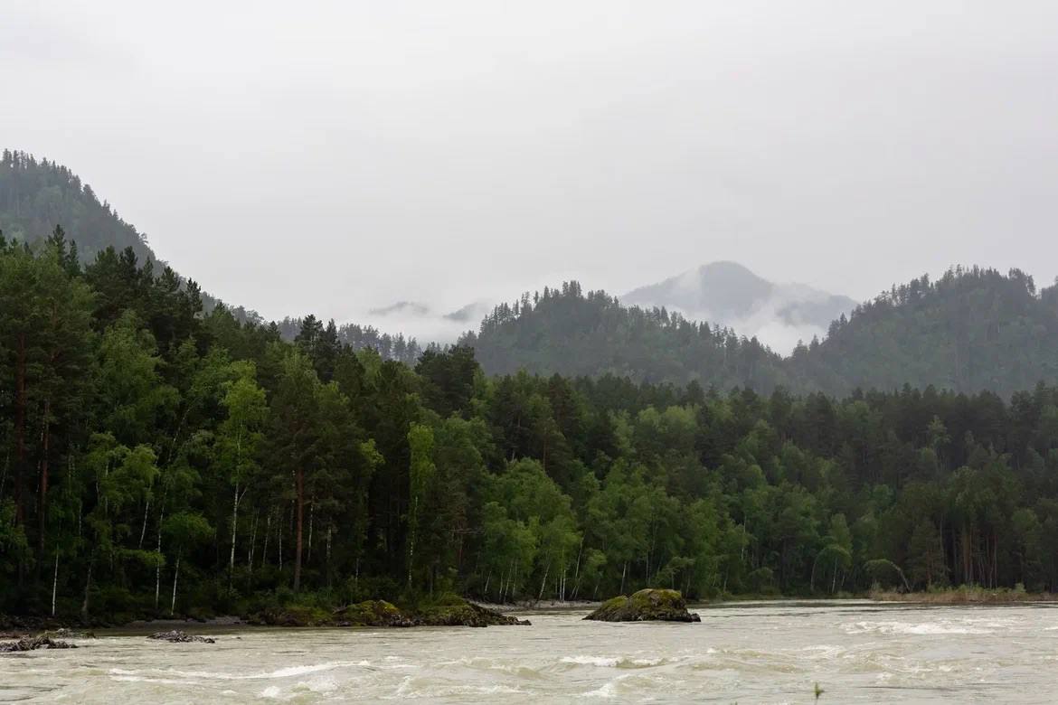 Алтай Йога&арт Кэмп (17/32)