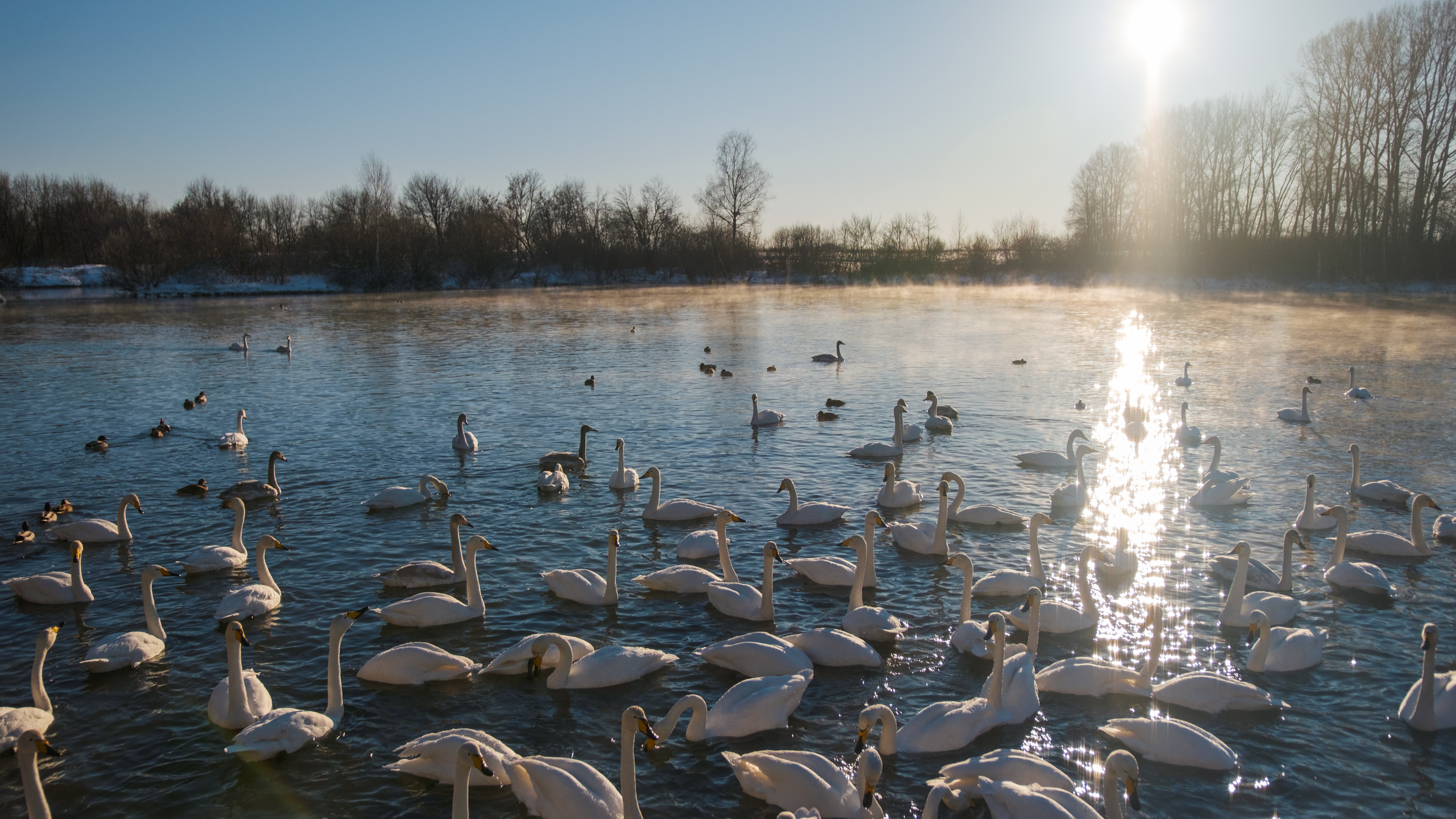 Зима На Алтае (41/58)