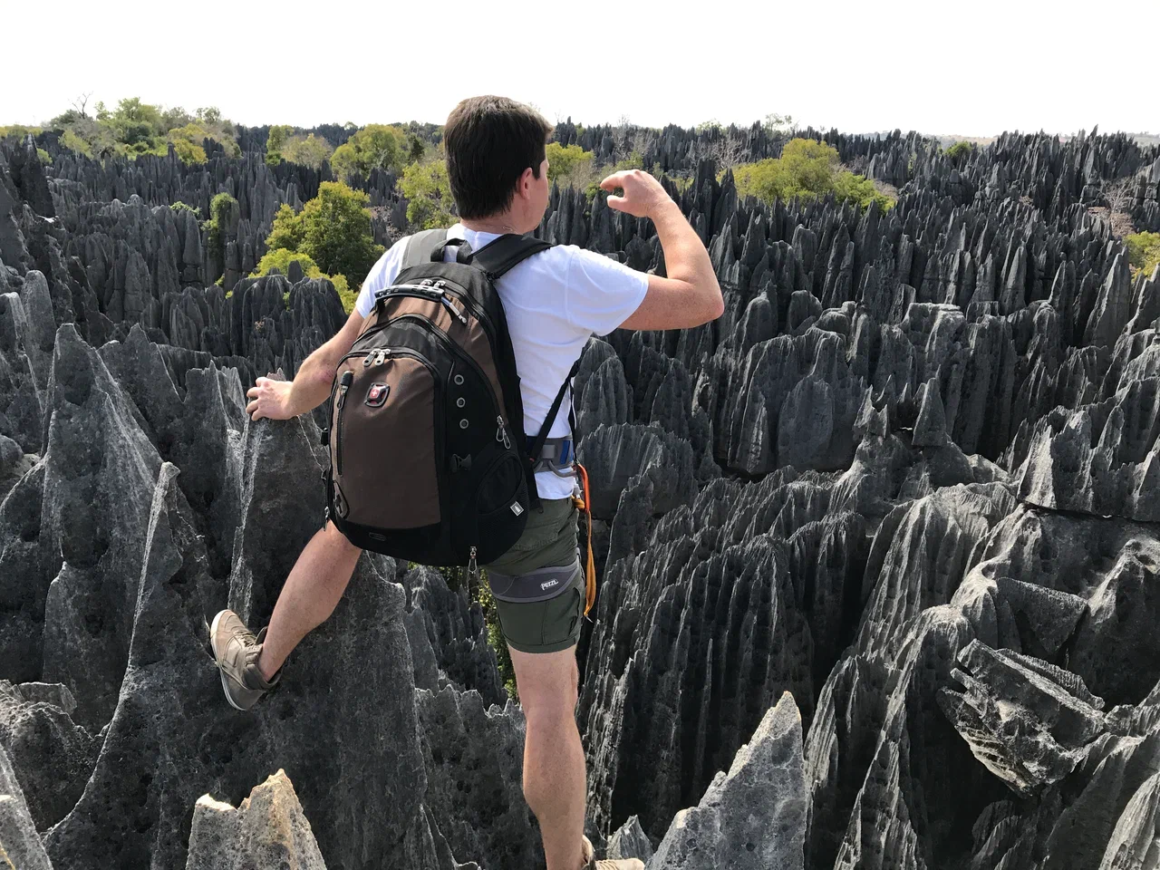 Сокровища Мадагаскара