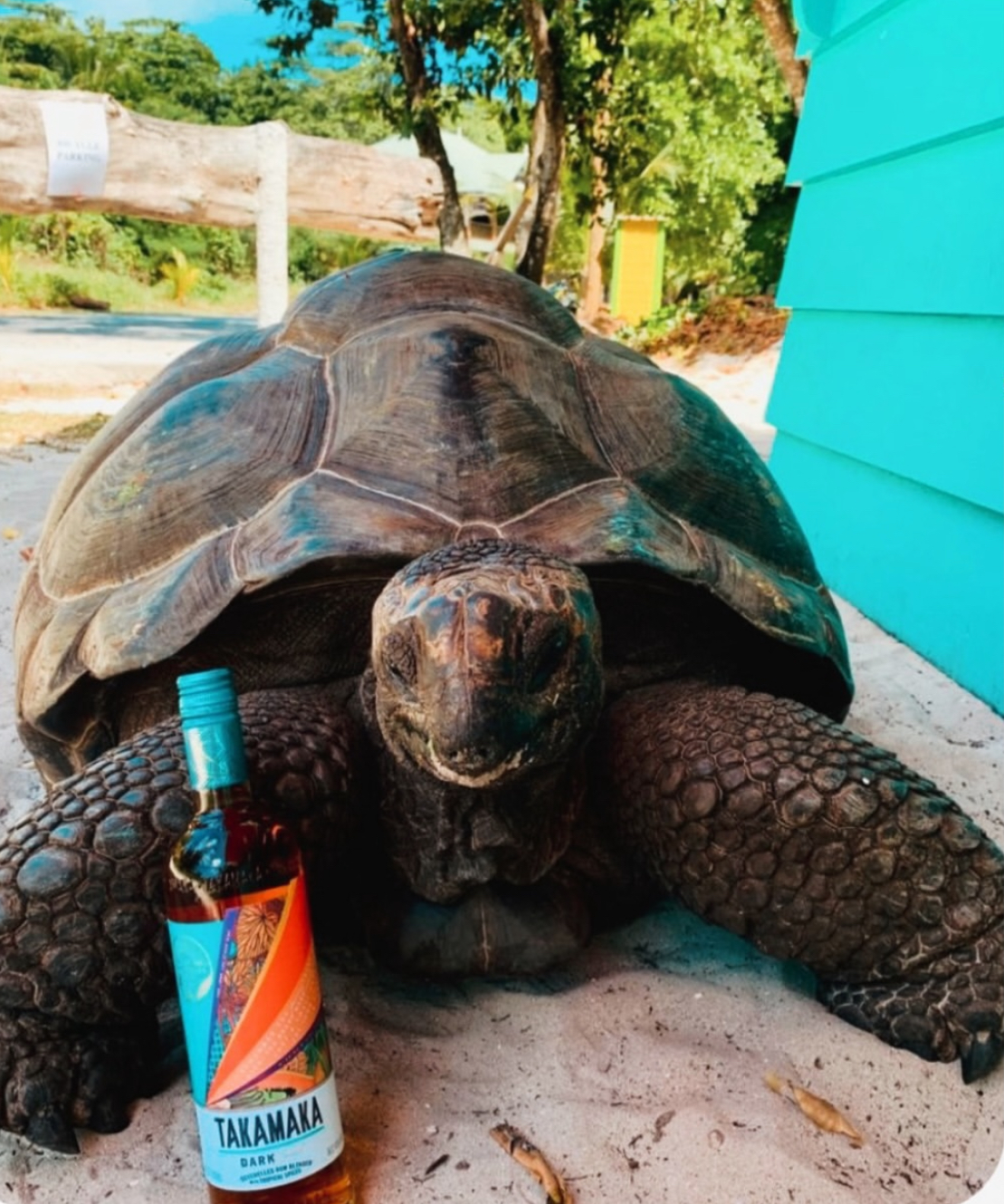 Сейшельская сказка