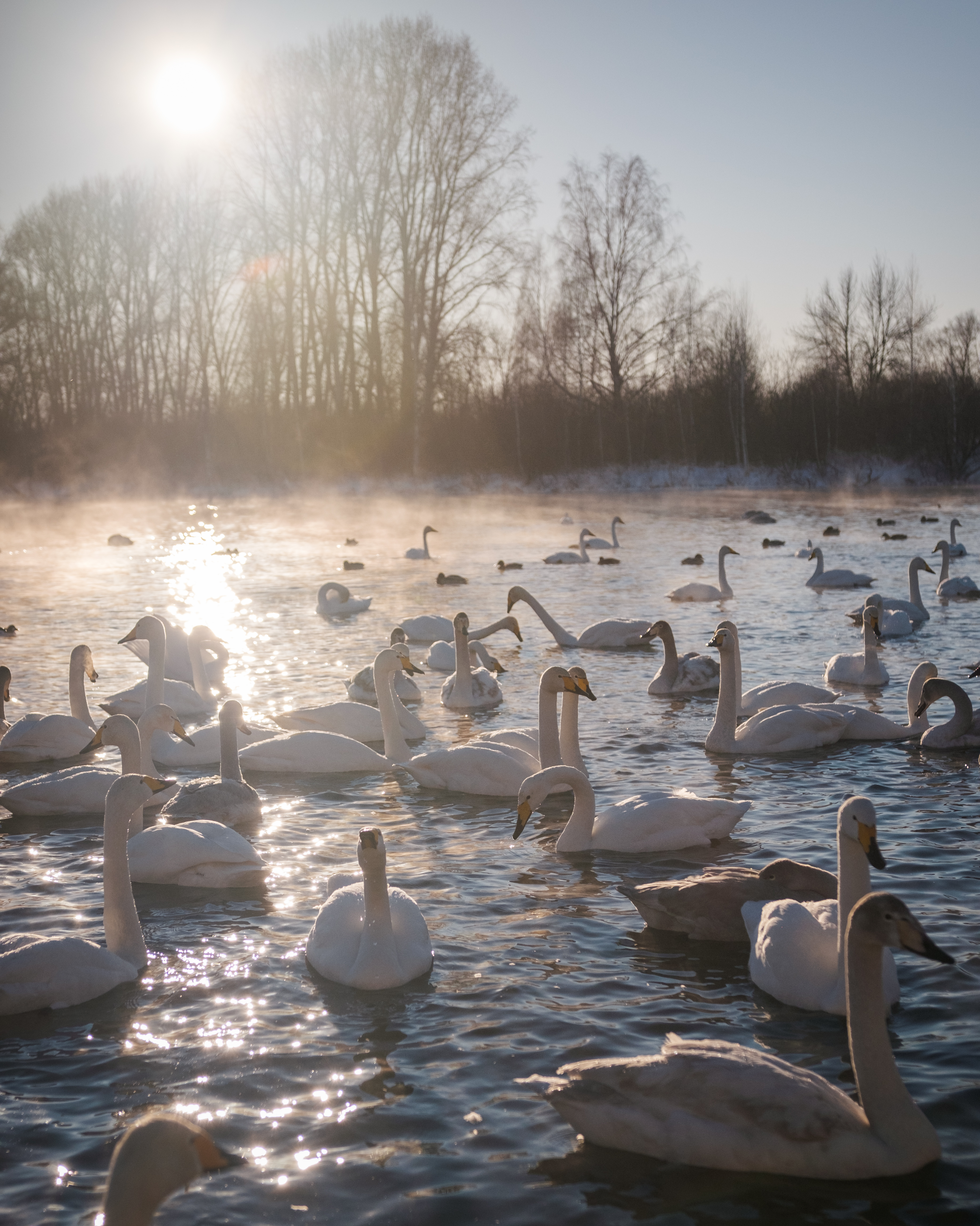 Зима На Алтае (40/58)