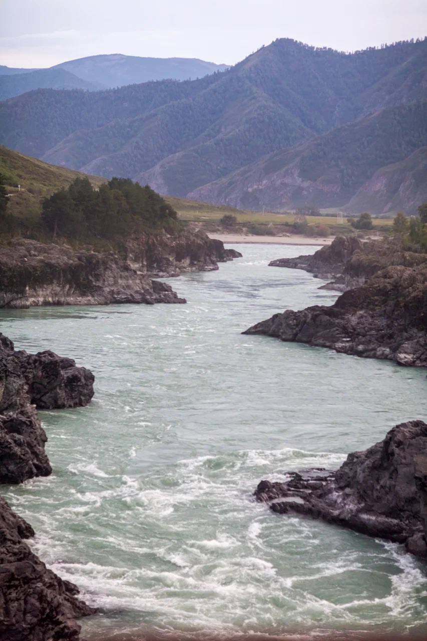 Алтай Йога&арт Кэмп (16/32)