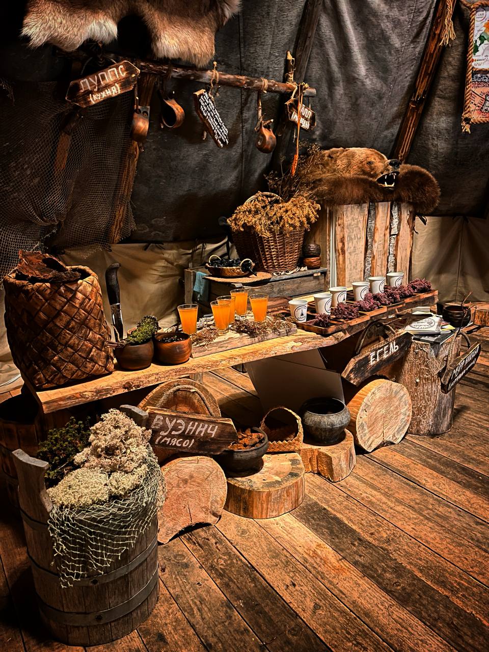 Териберка - Фотоохота за северным сиянием. 3 дня на Краю Света! (39/65)