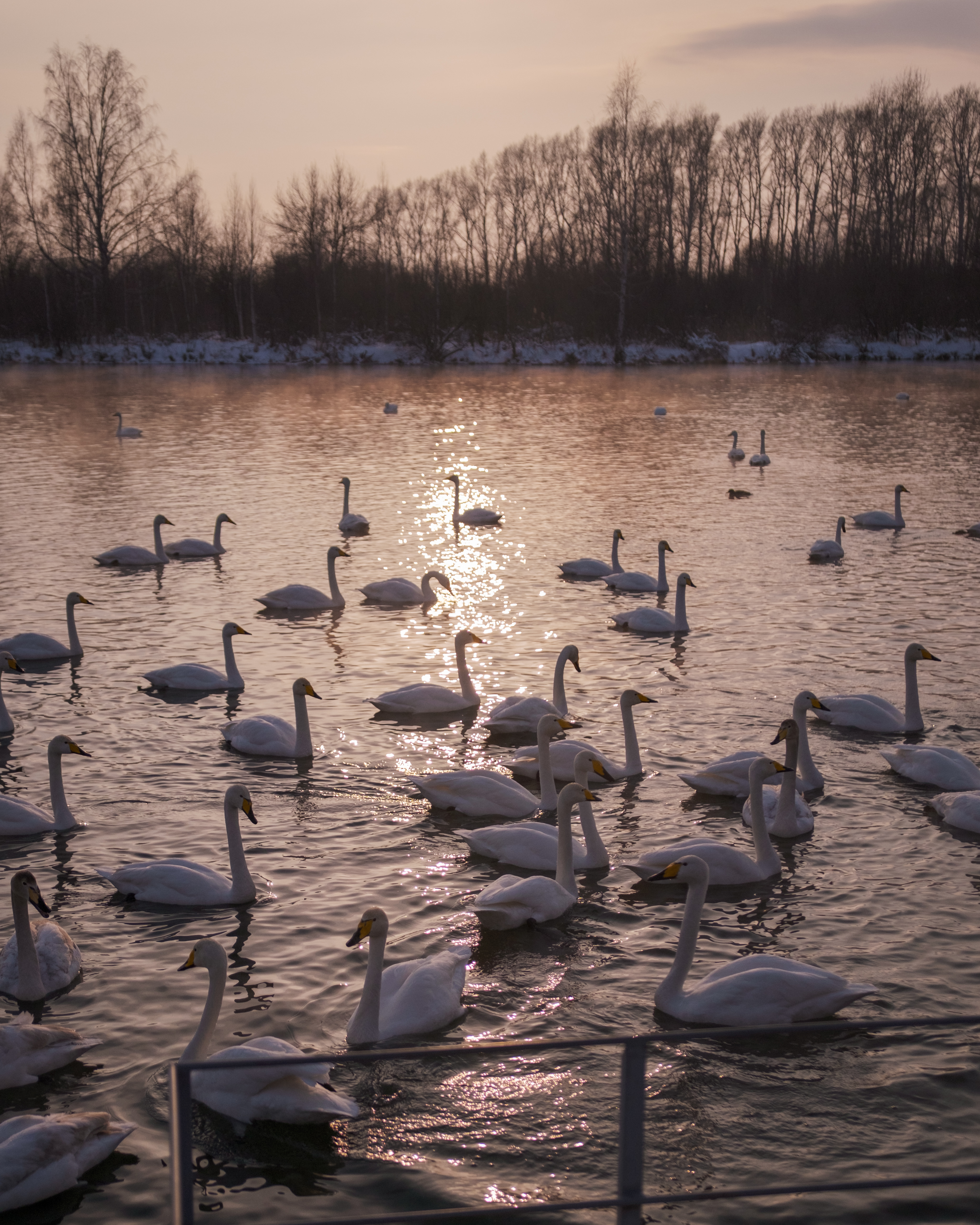 Зима На Алтае (39/58)