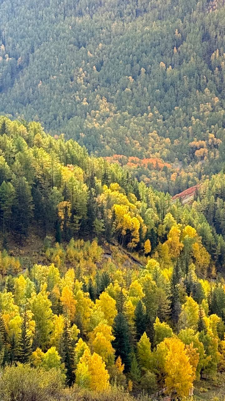 Алтай. Экспедиция по Чуйскому тракту (16/41)