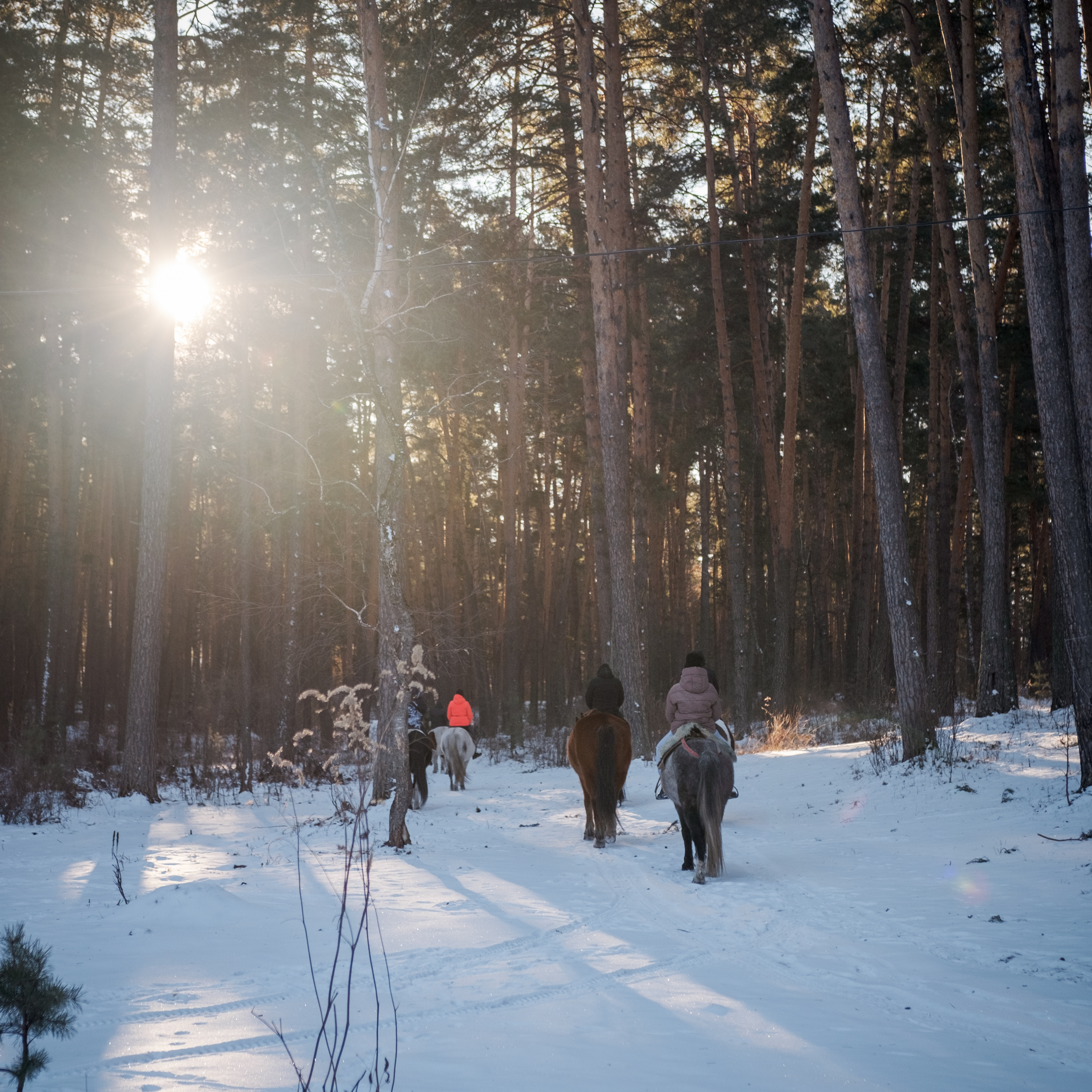Зима На Алтае (12/58)